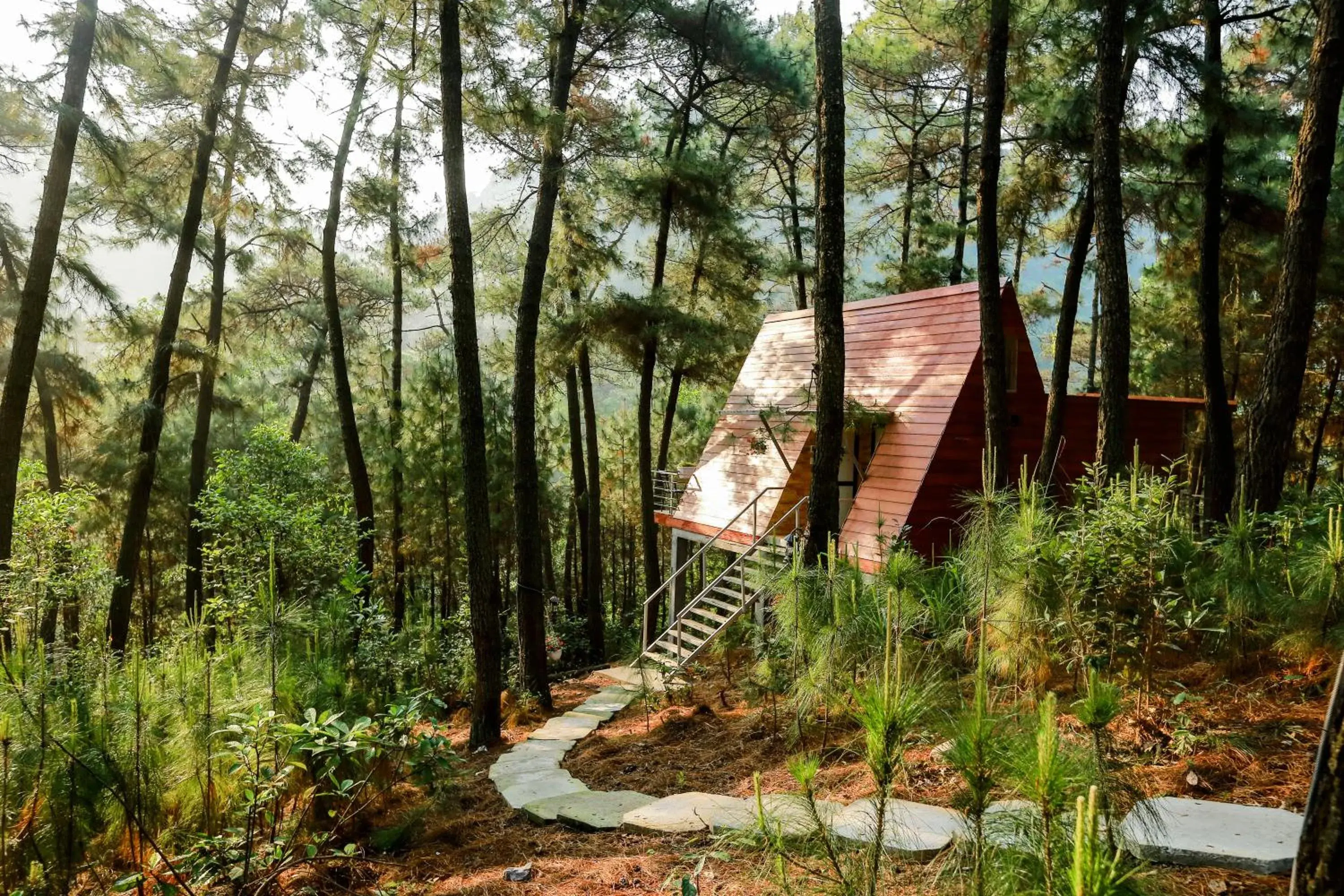 Chalet in Cat Ba Eco Lodge Chalet in Cat Ba Eco Lodge