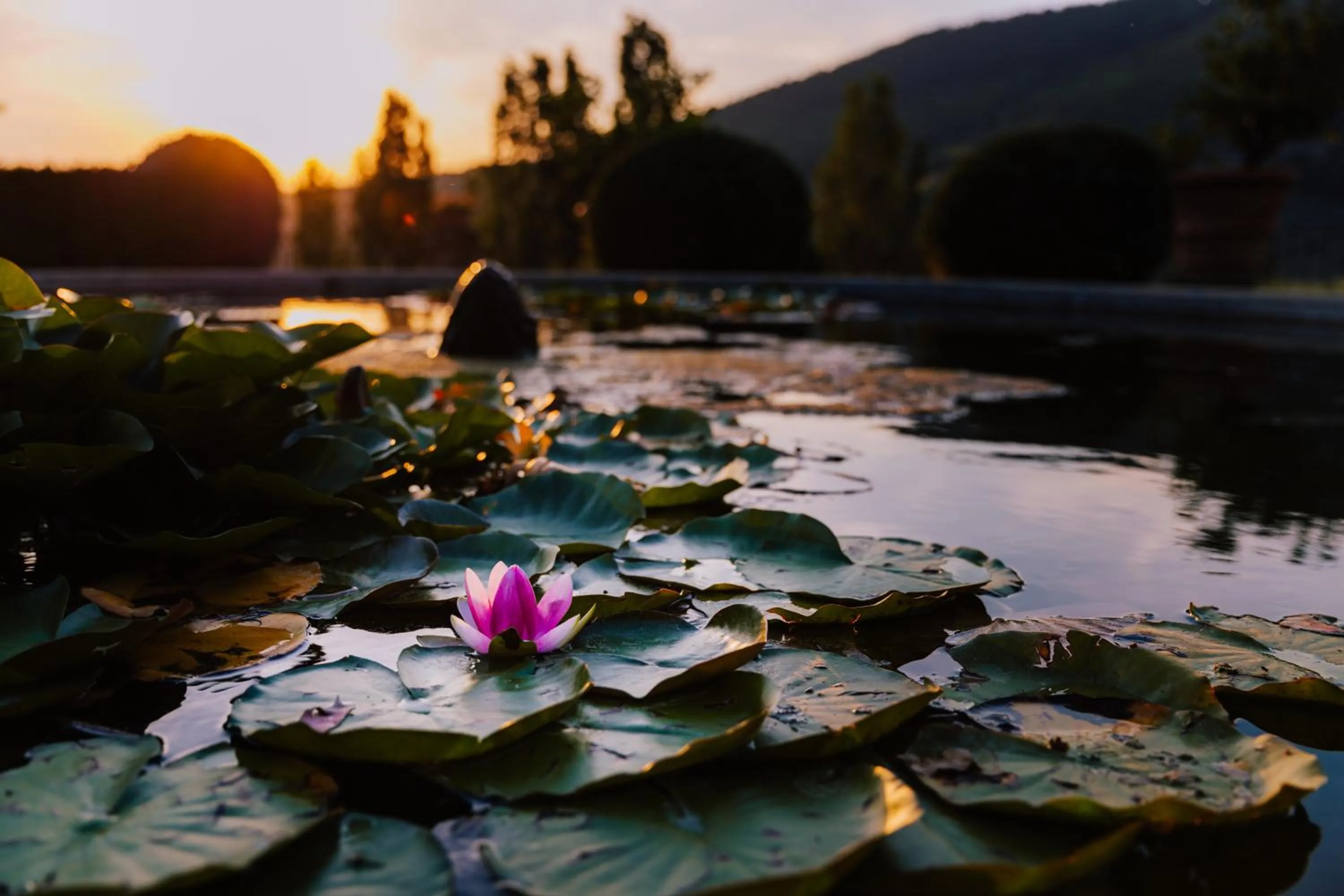 Natural landscape in Villa Rucellai