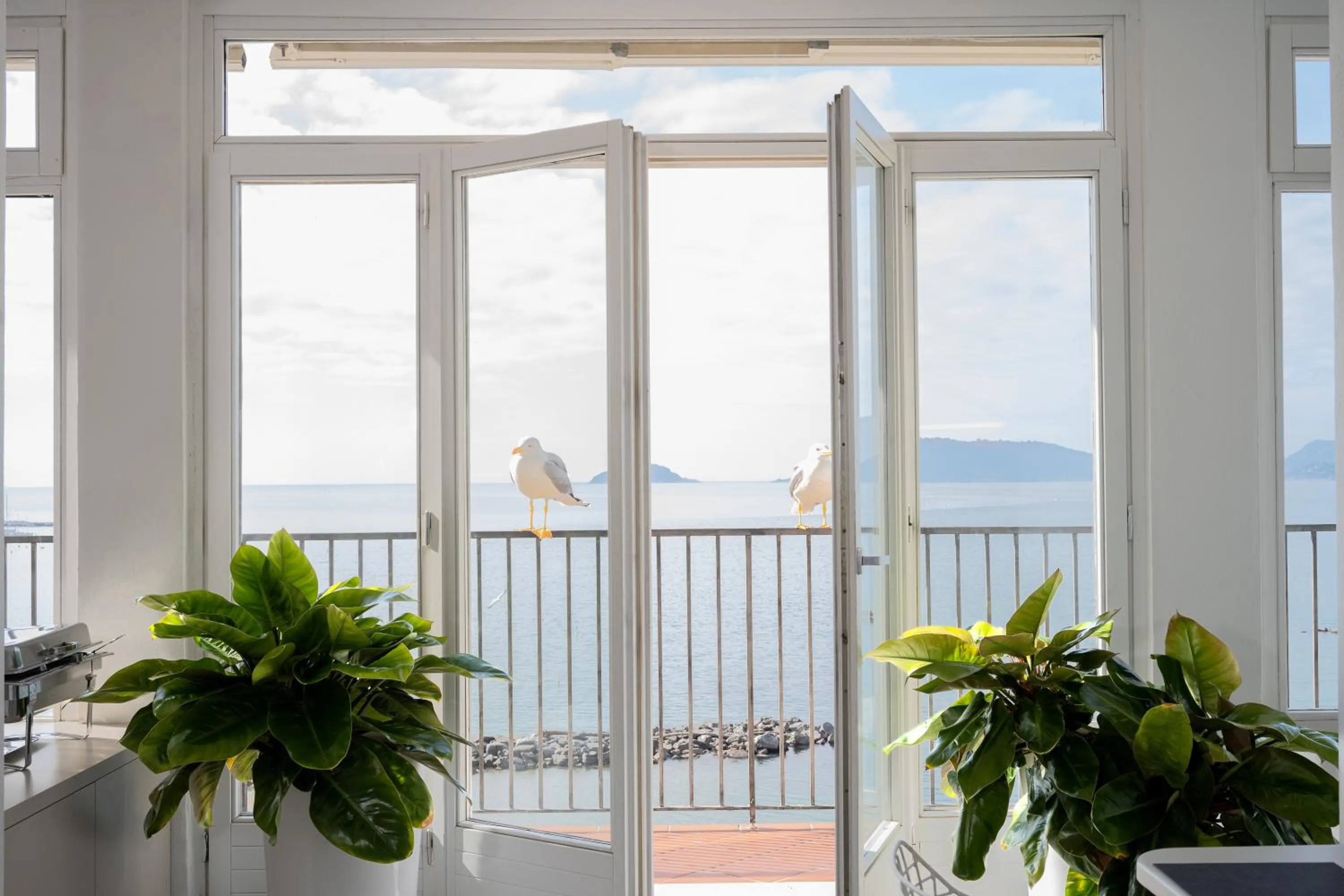 View (from property/room) in Hotel Venere Azzurra