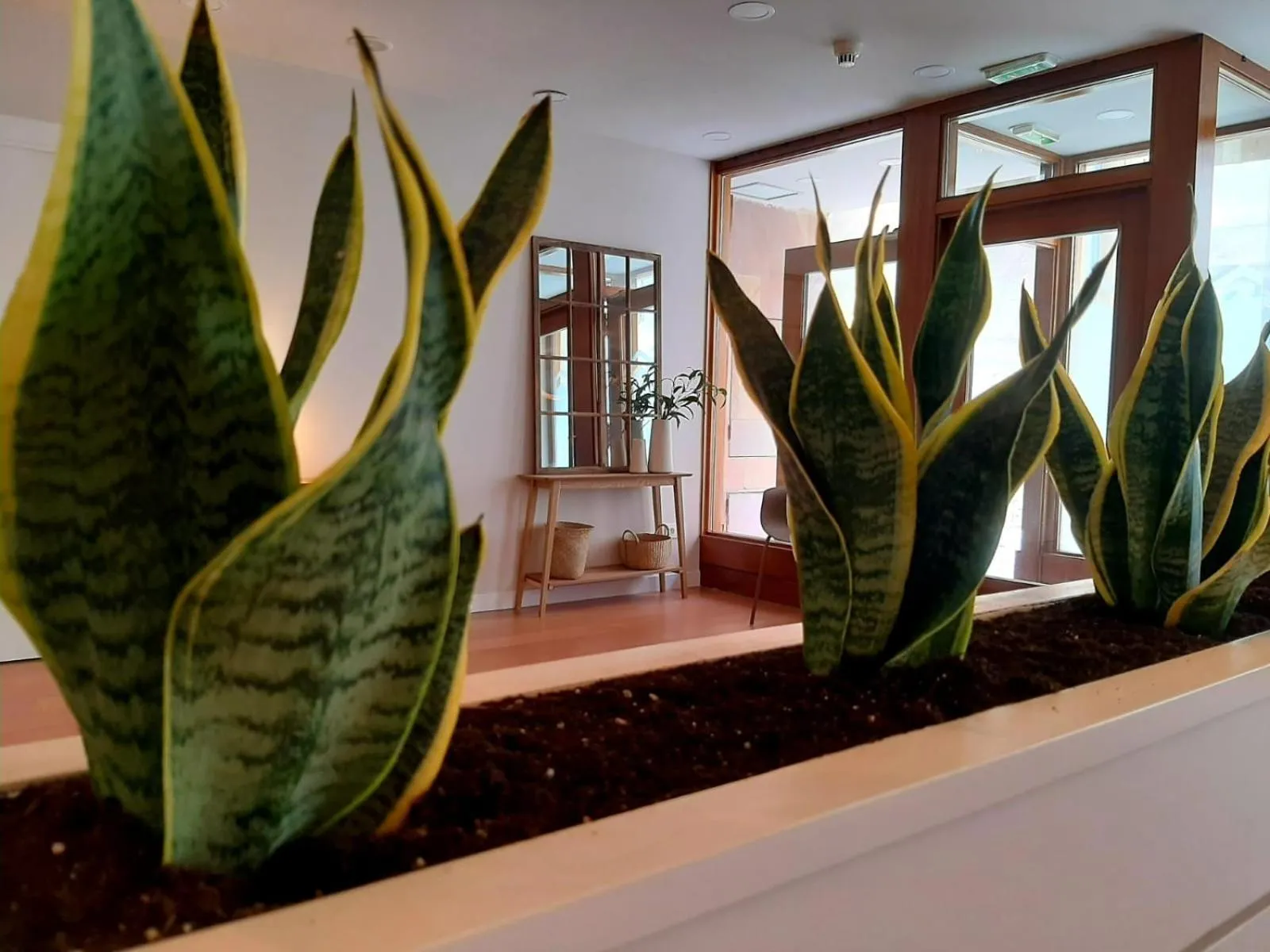 Property building in Hotel Beratxa