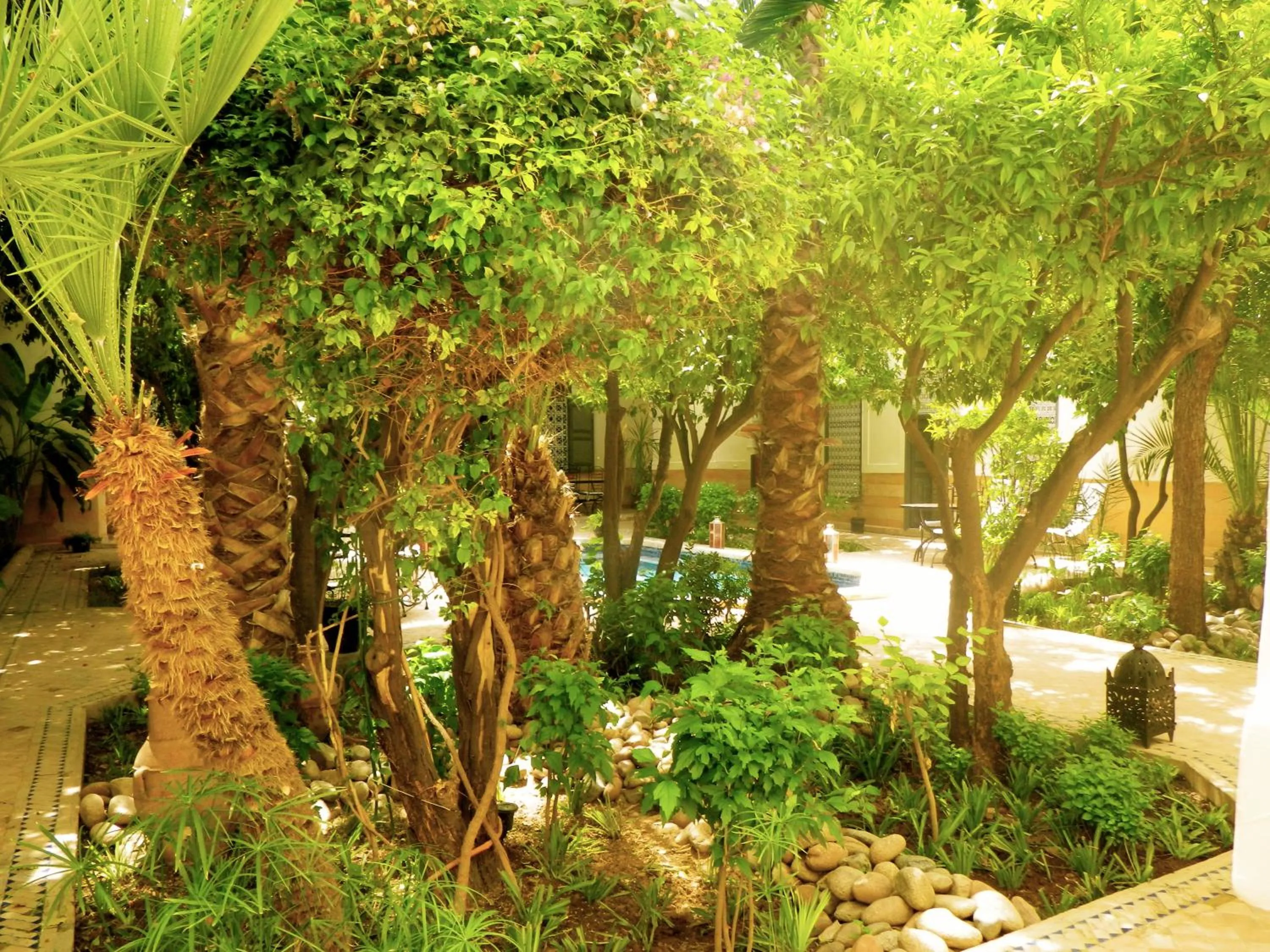 Garden in Riad Laila