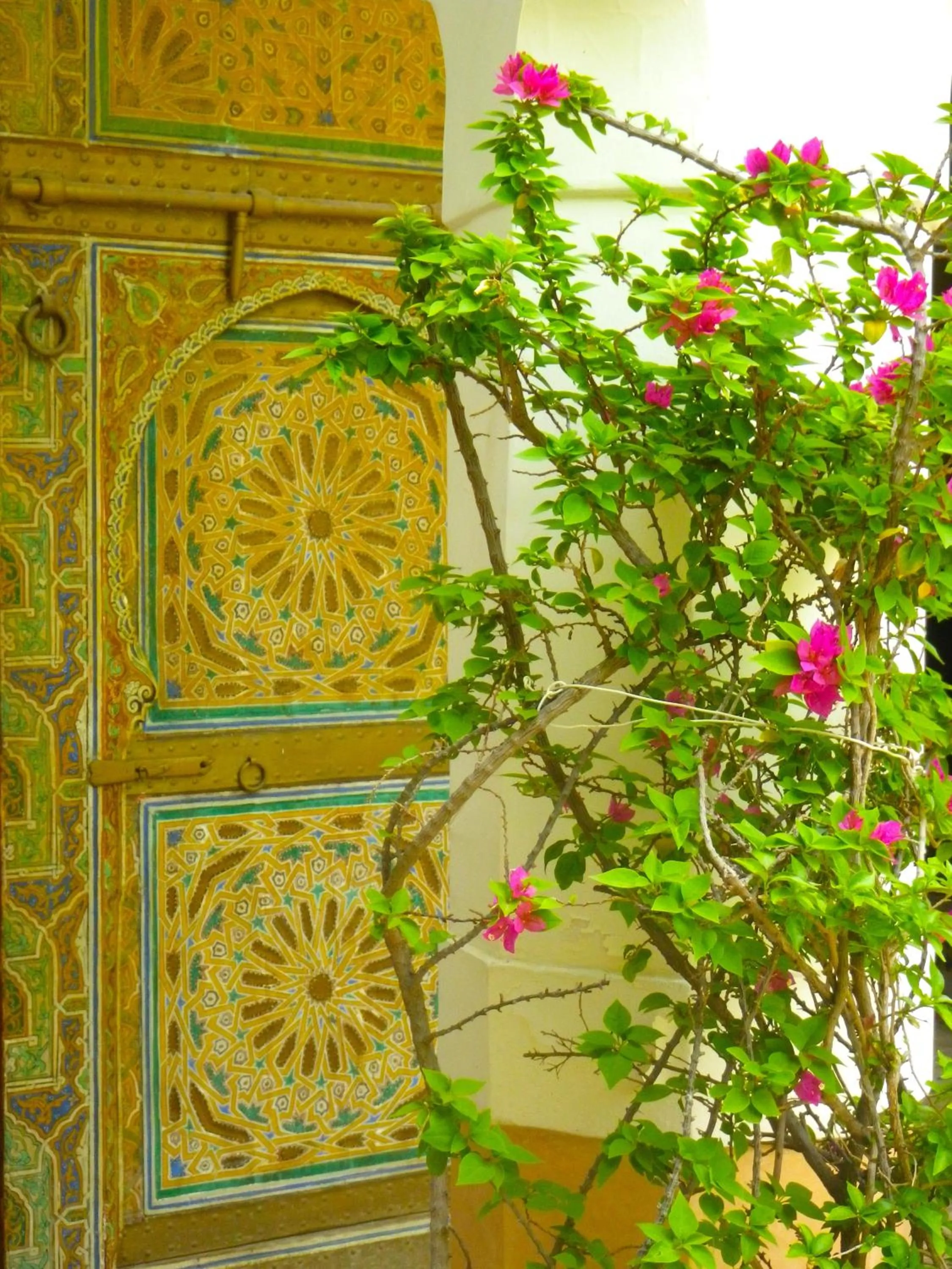 Garden in Riad Laila