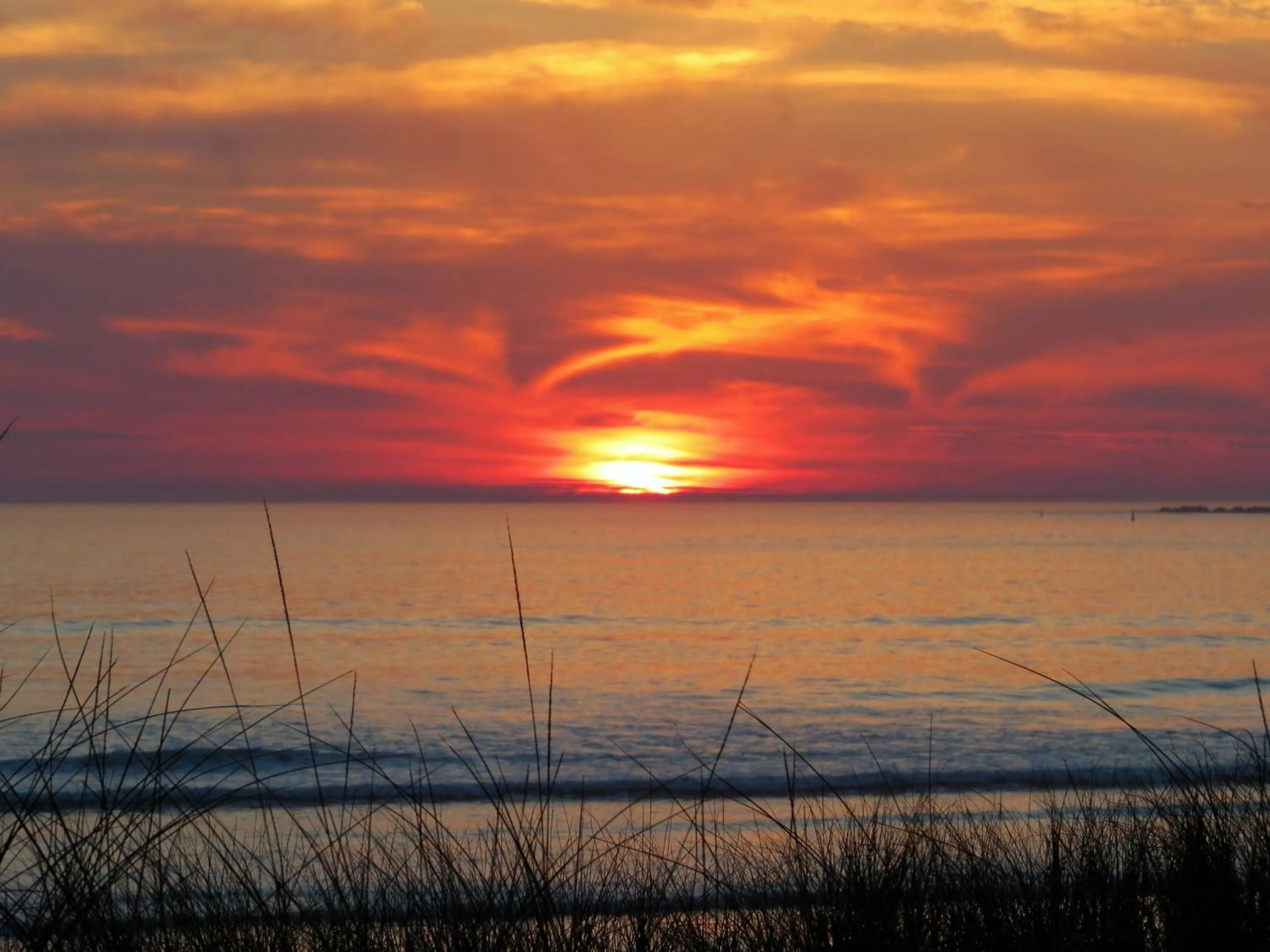 Other in Hotel La Lanzada