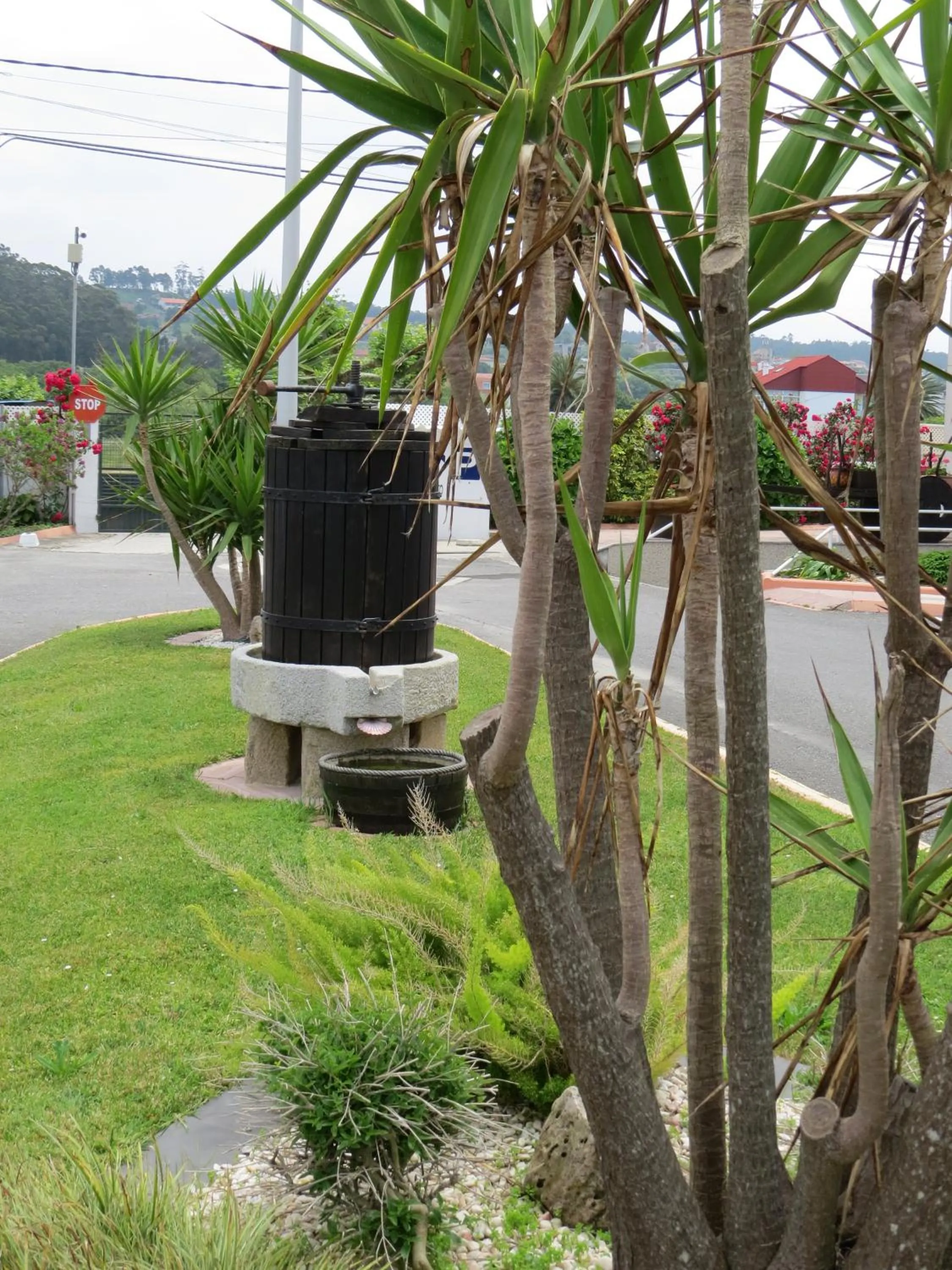 Other in Hotel La Lanzada