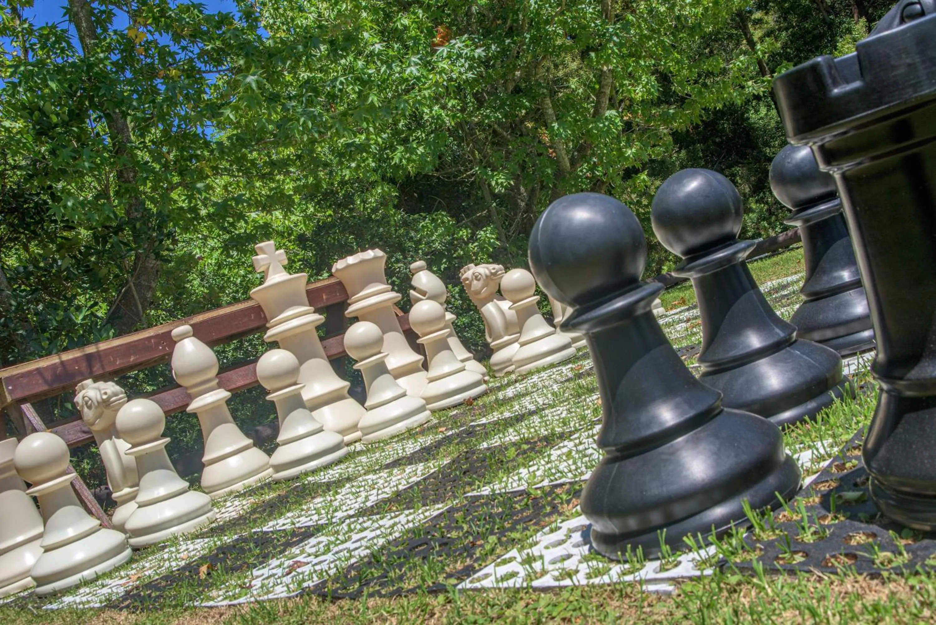 Game Room in The Fernery Lodge & Spa