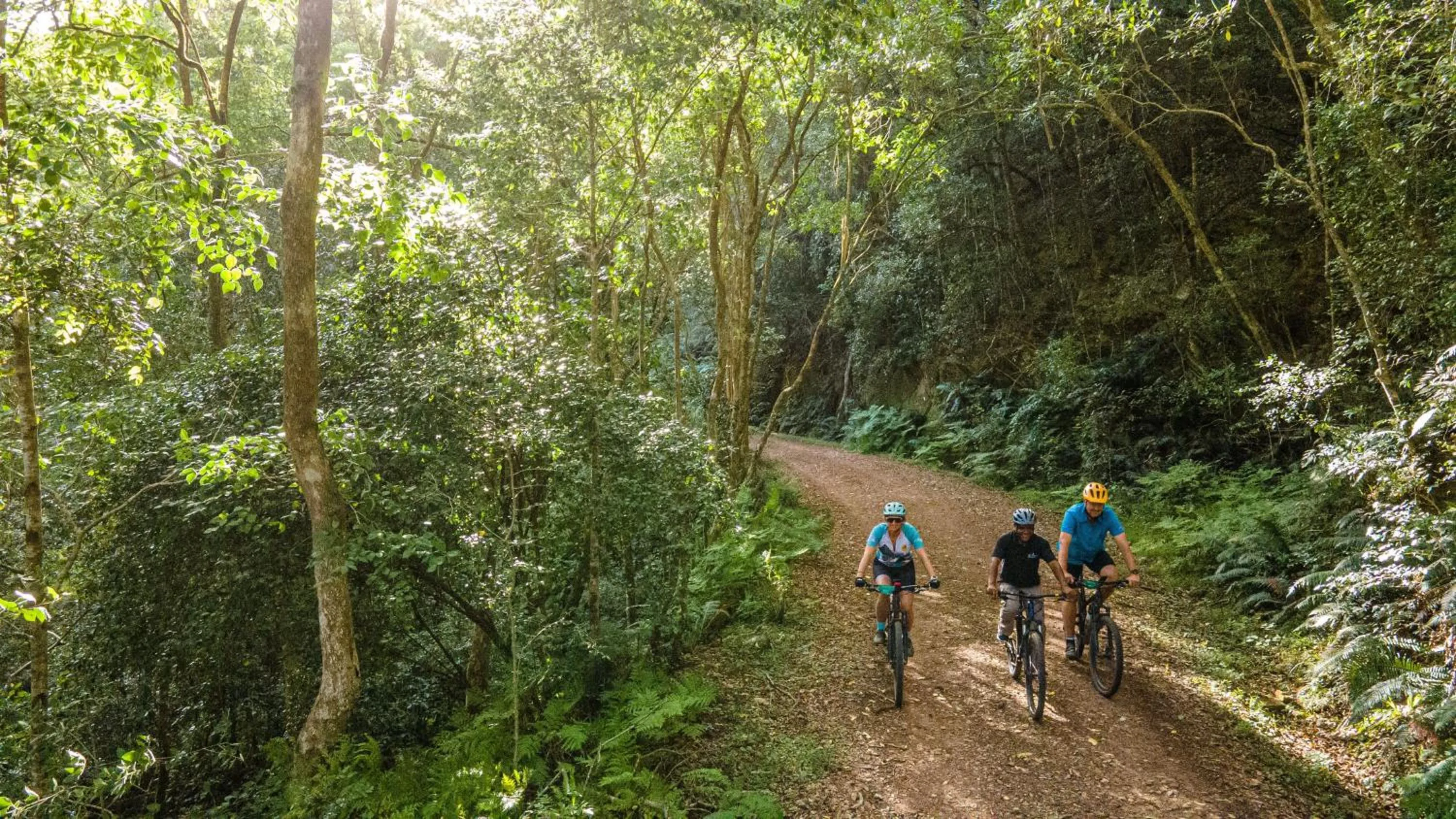 Cycling in The Fernery Lodge & Spa