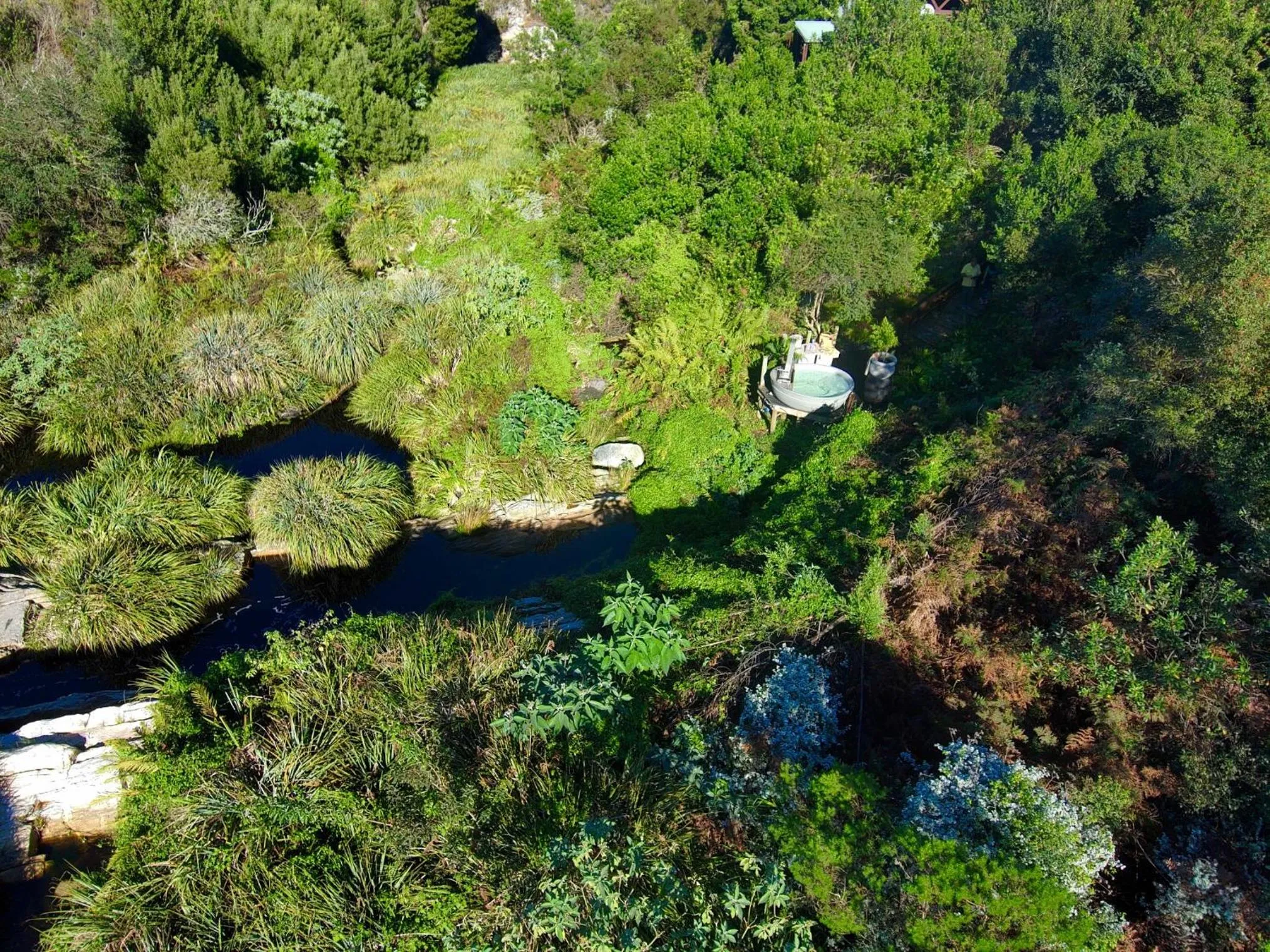 The Fernery Lodge & Spa