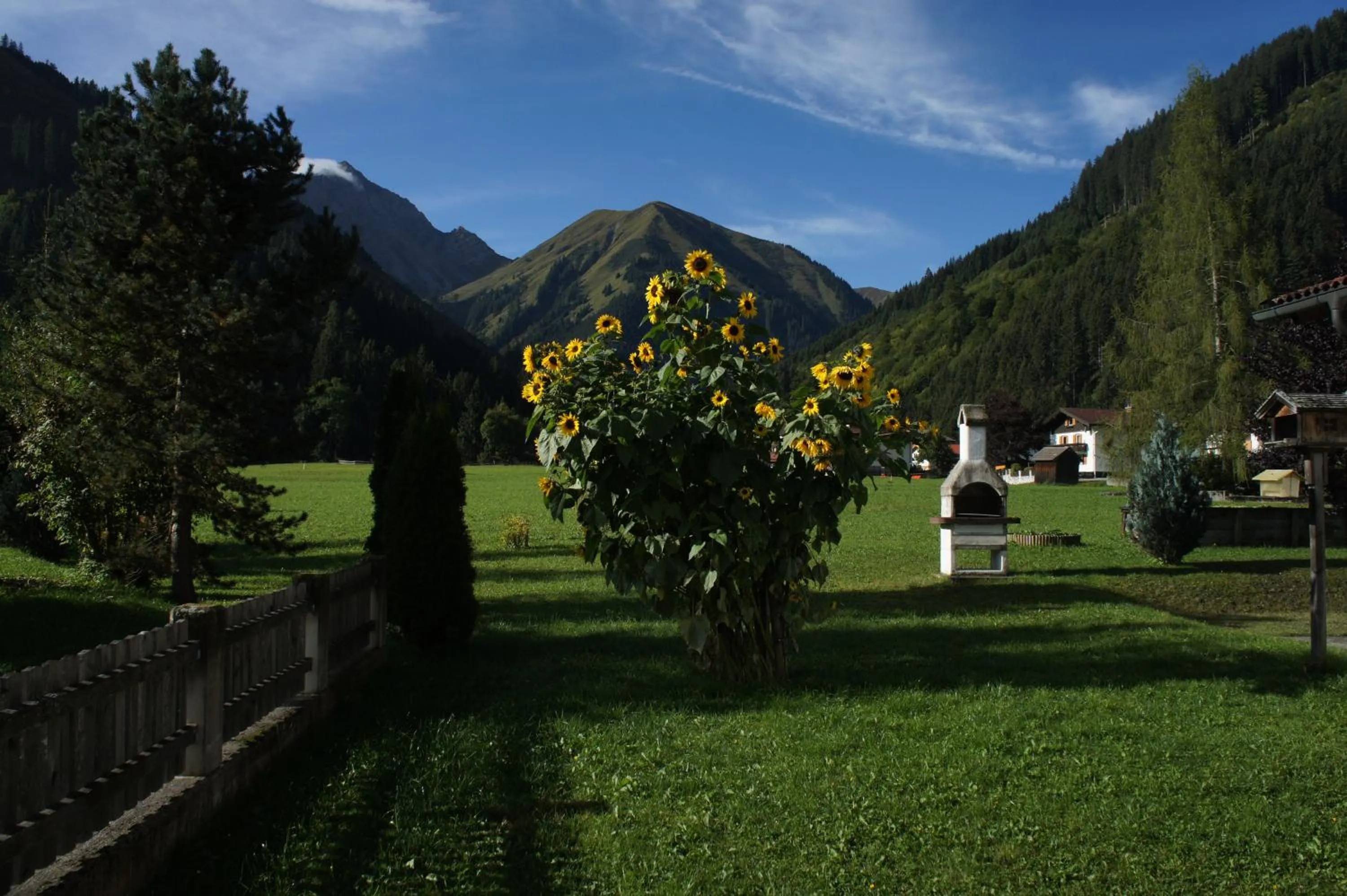 Garden view in Appartements Gärtner