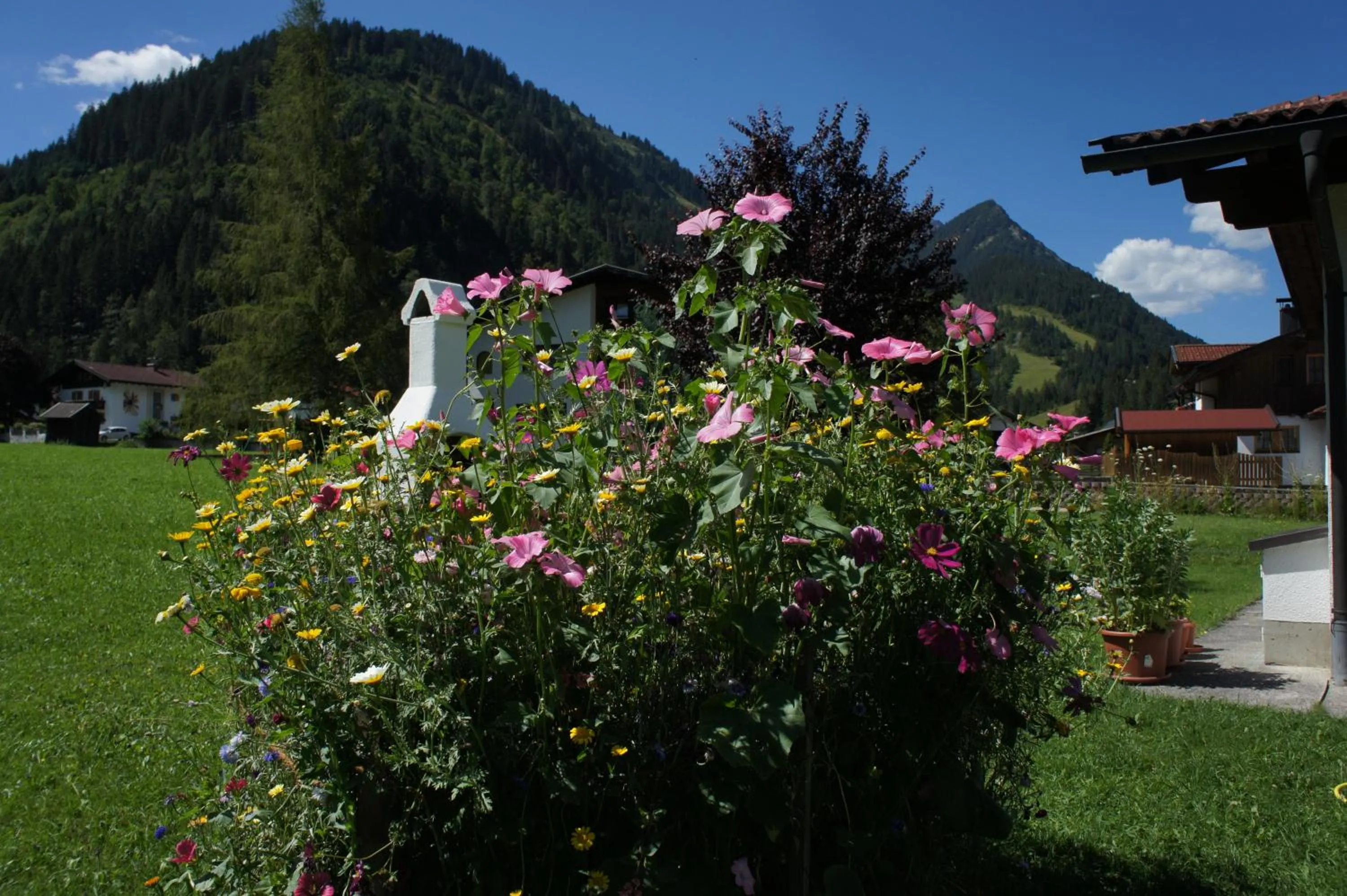 Natural landscape in Appartements Gärtner