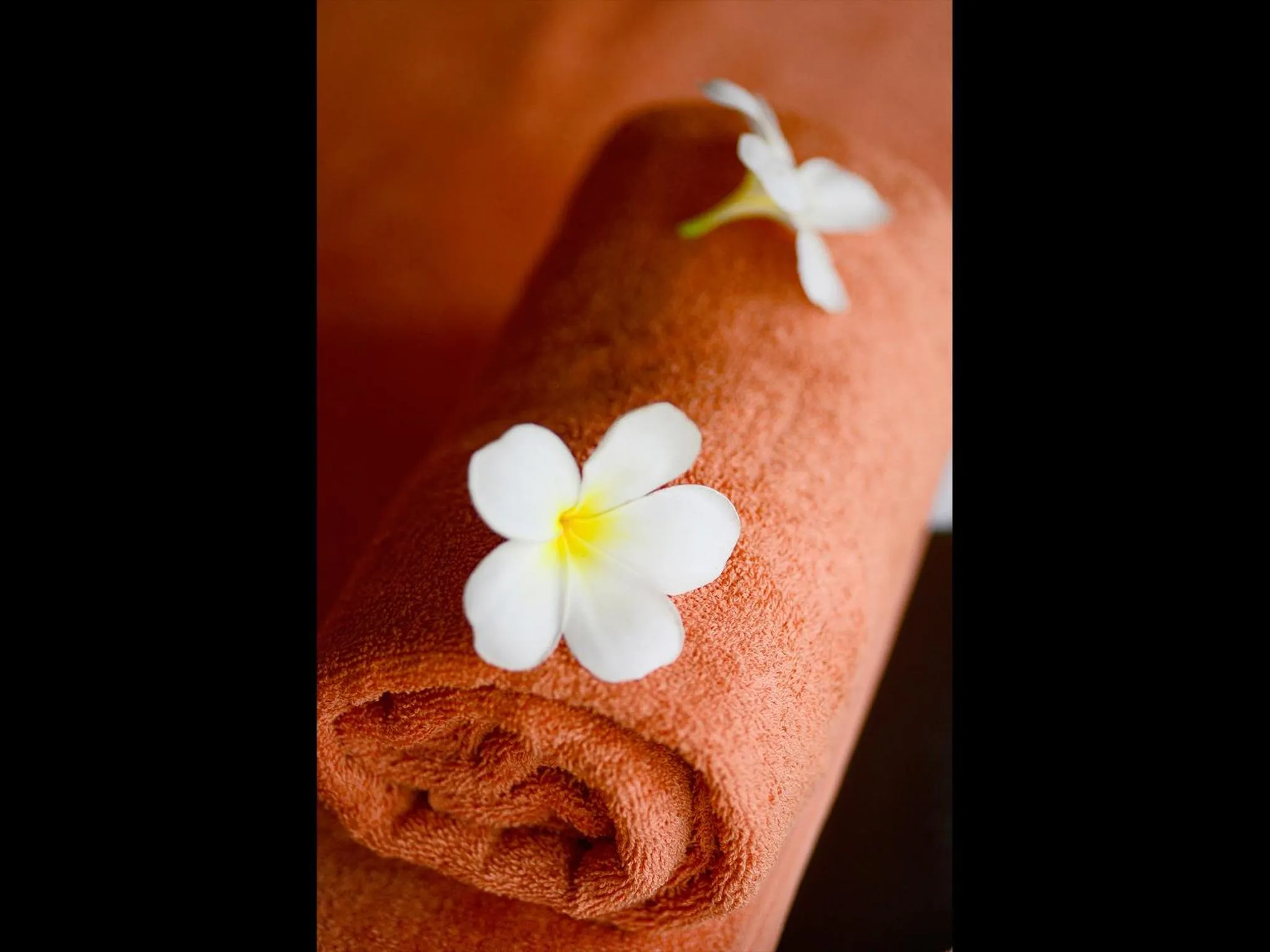 Spa and wellness centre/facilities in Colombo Court Hotel & Spa