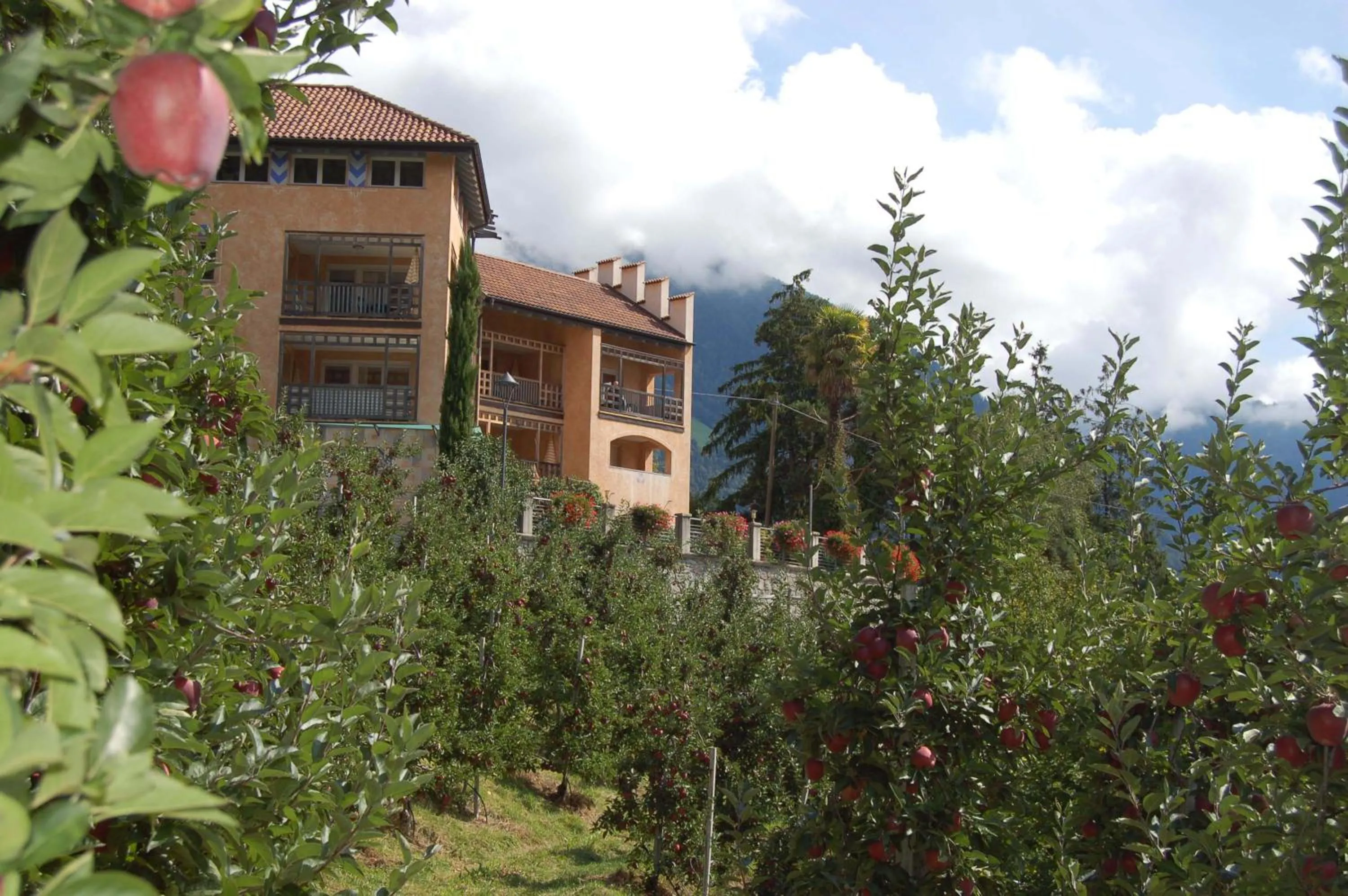 Autumn in Appartementhaus Am Waalweg