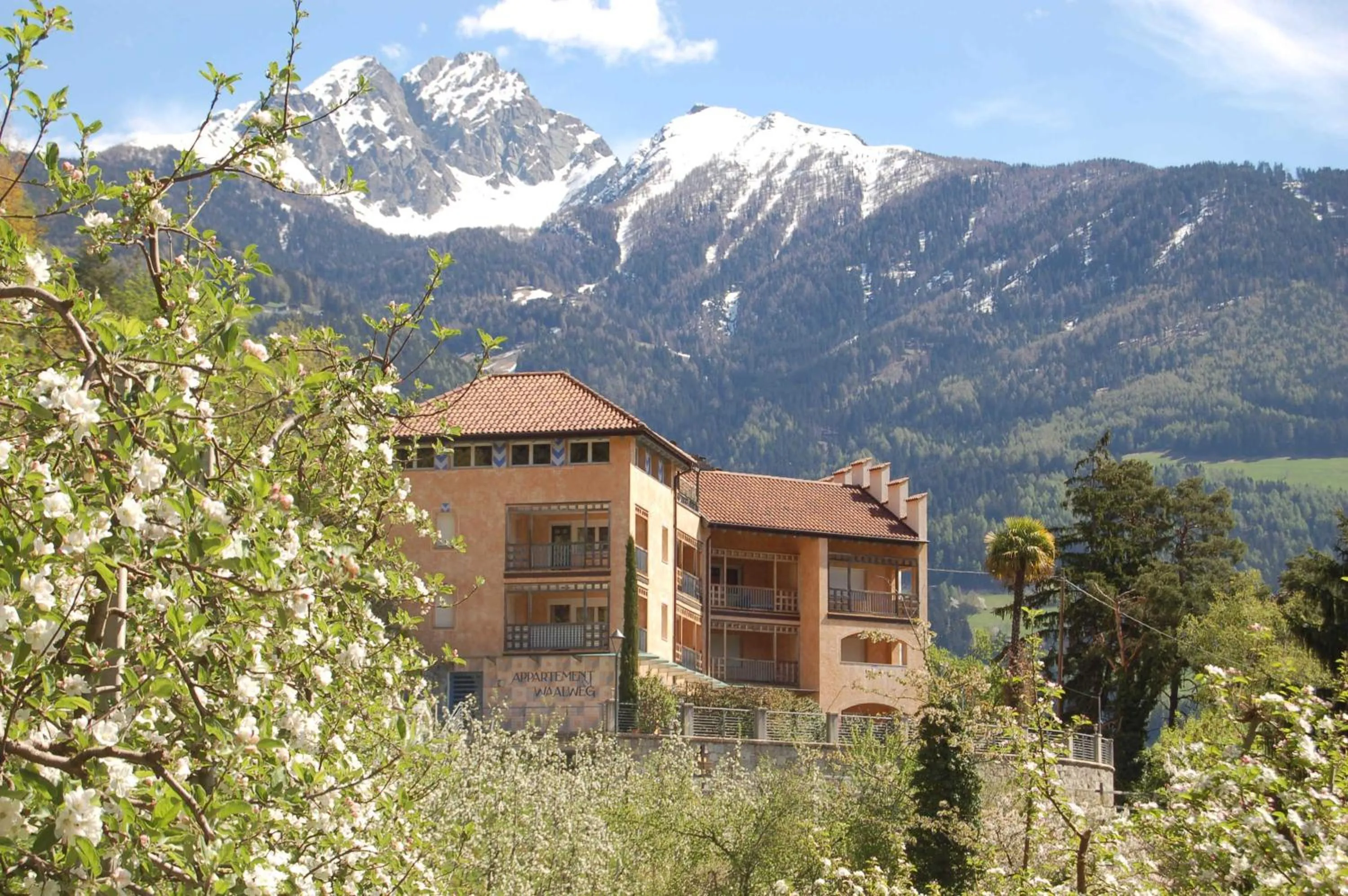 Spring in Appartementhaus Am Waalweg