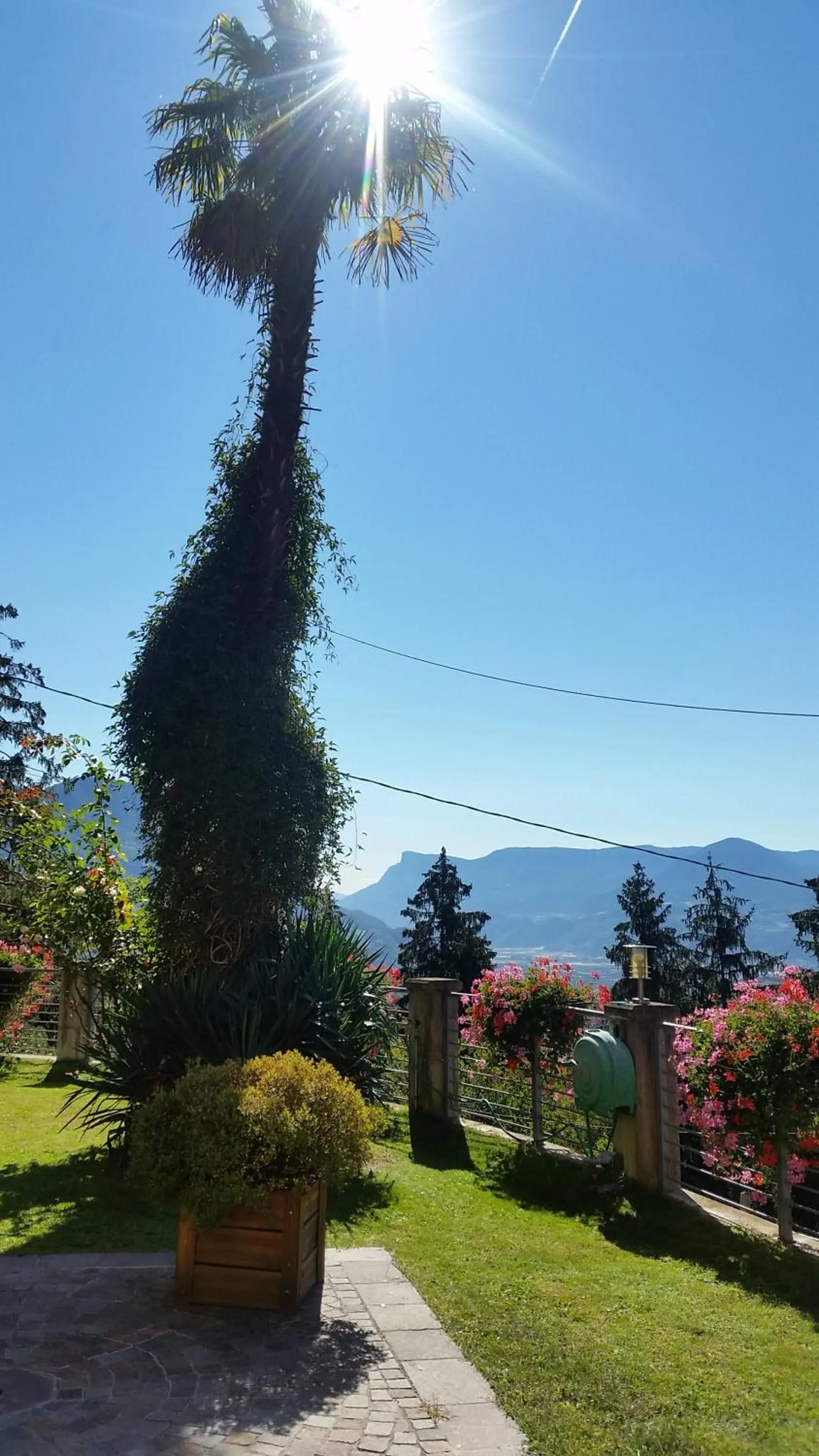 Garden view in Appartementhaus Am Waalweg