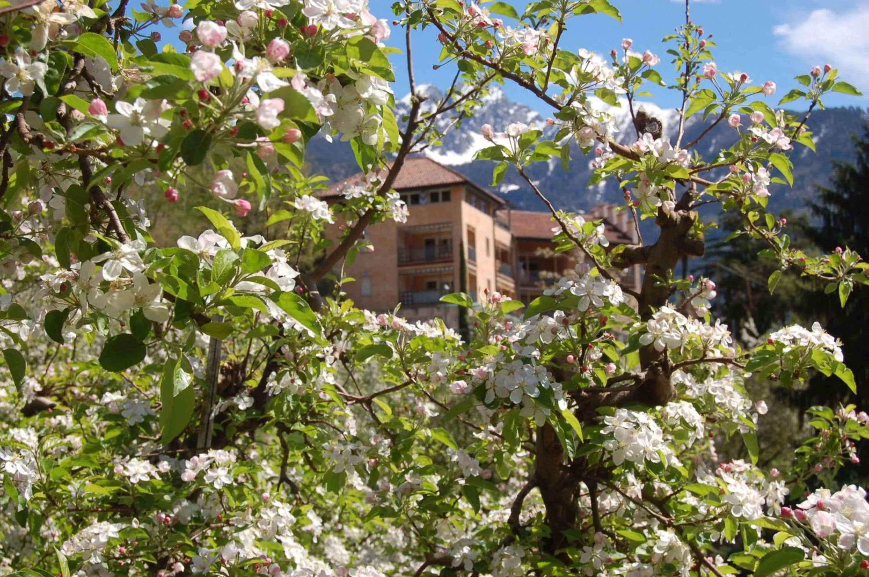 Spring in Appartementhaus Am Waalweg