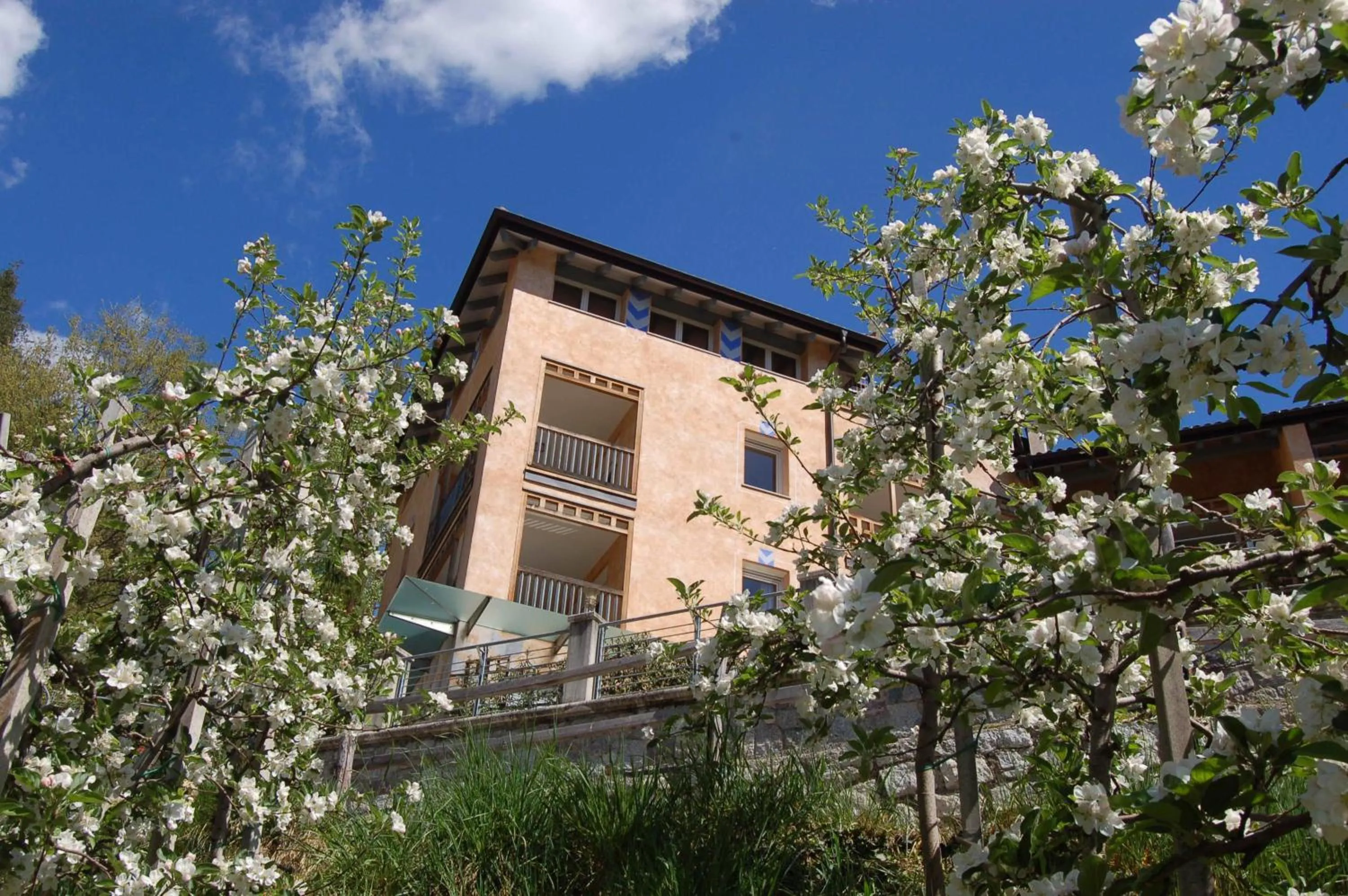 Spring in Appartementhaus Am Waalweg