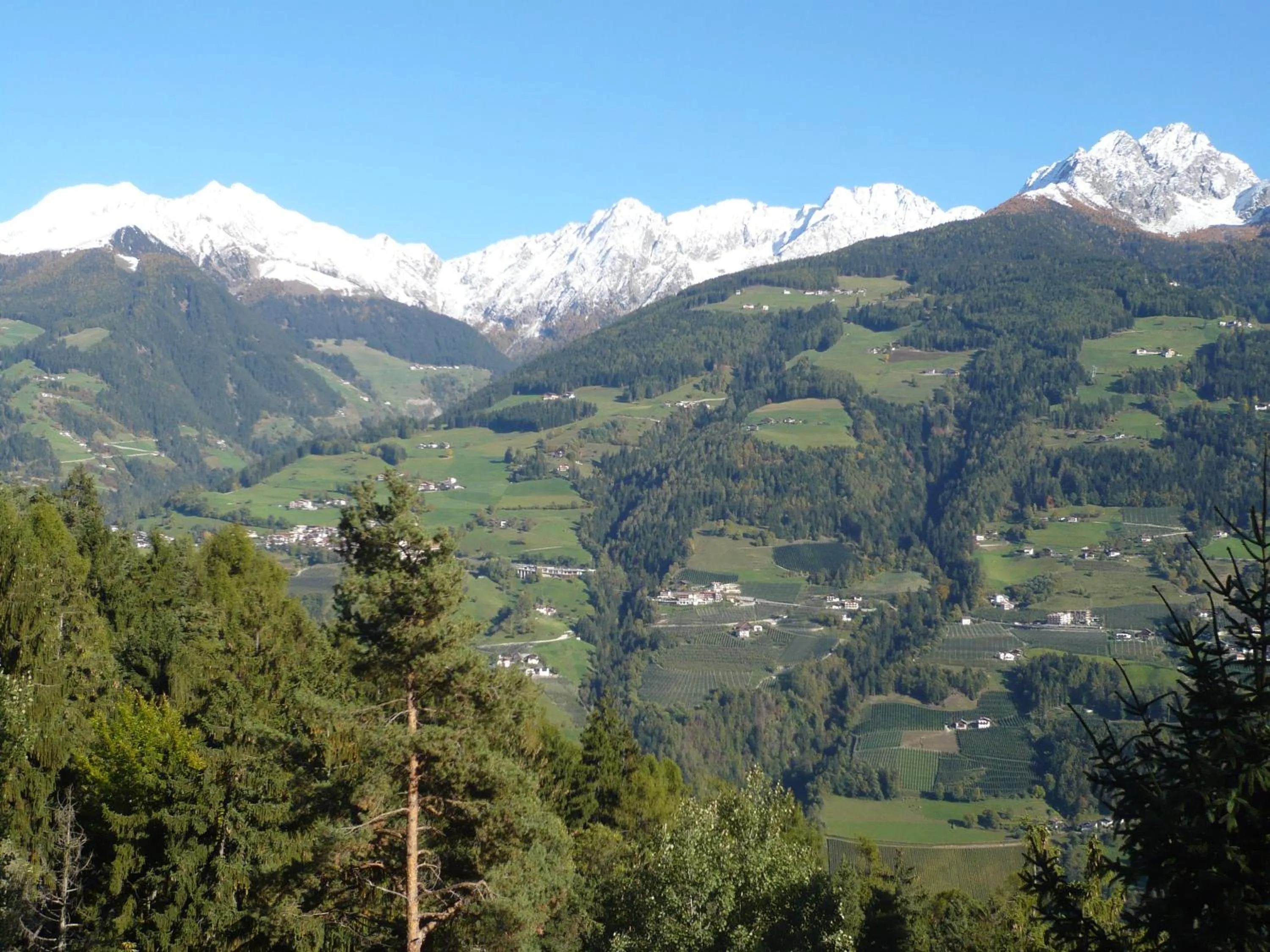 Hiking in Appartementhaus Am Waalweg