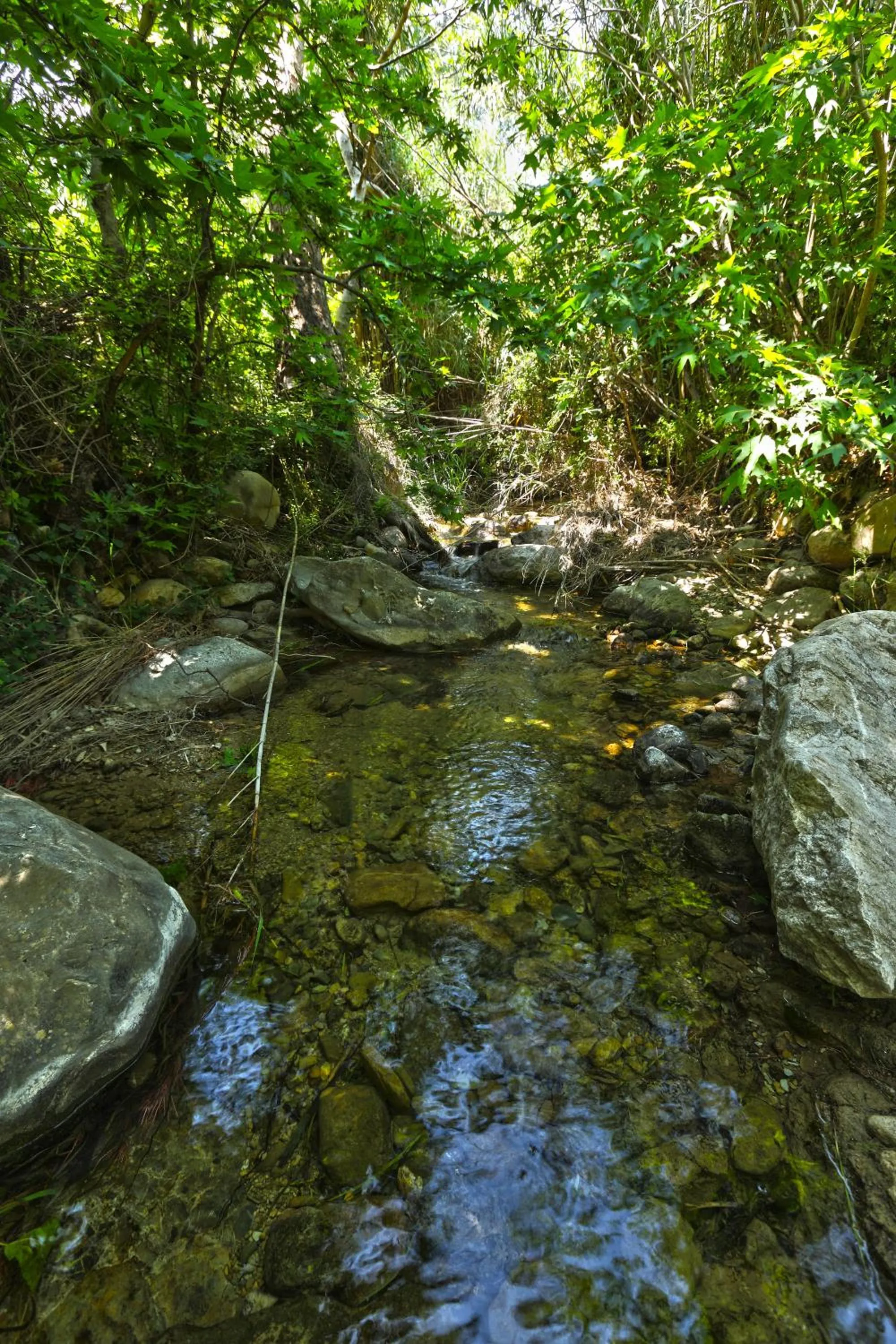 Day in Aspros Potamos
