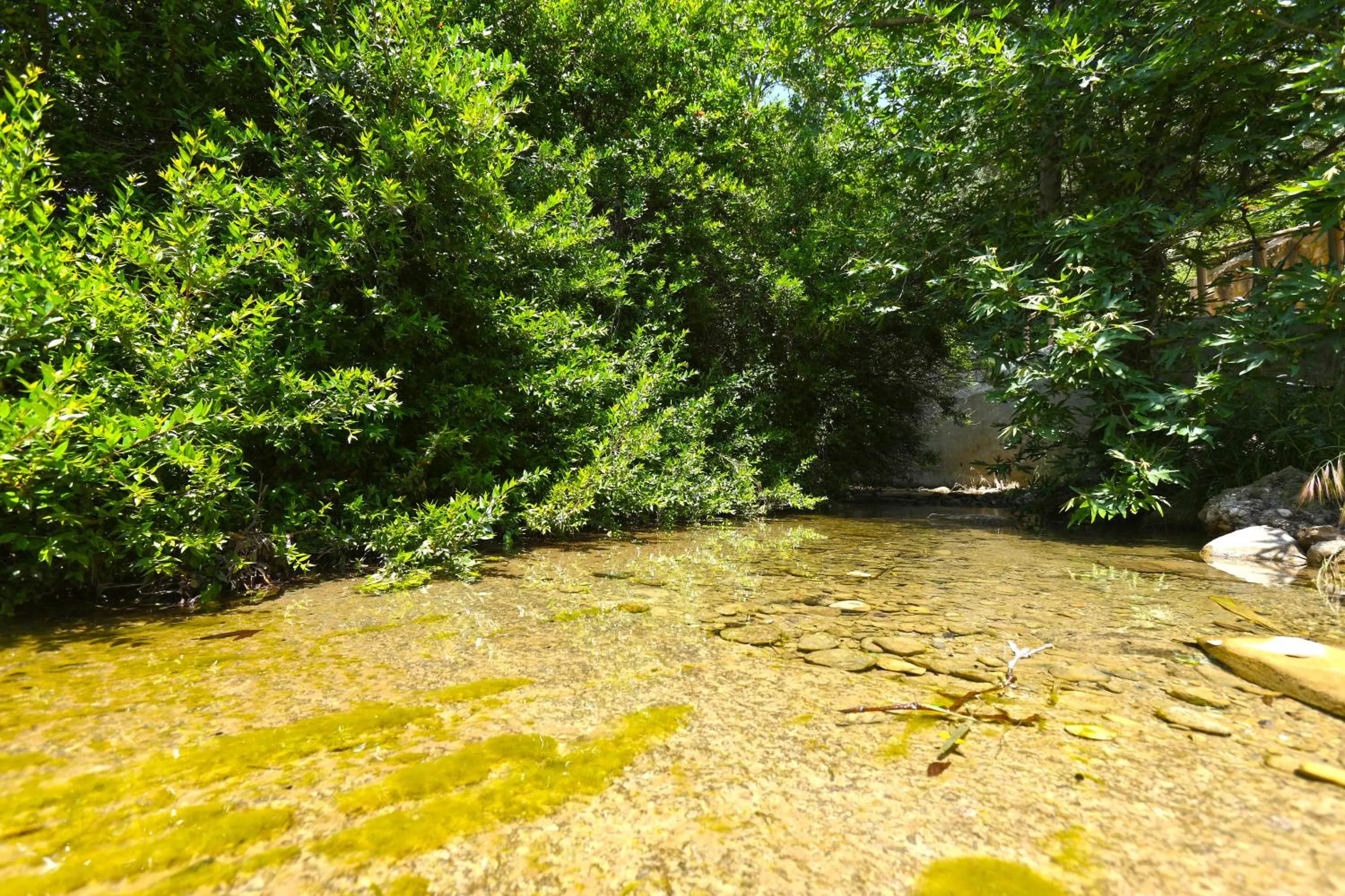 Day in Aspros Potamos