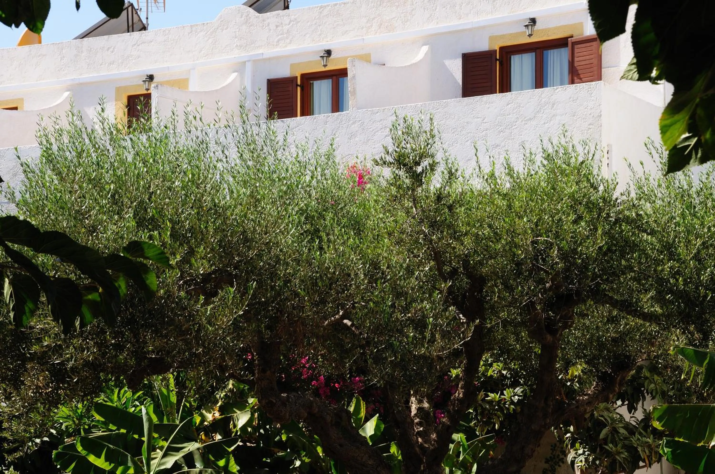 Garden in Hotel Marina Village