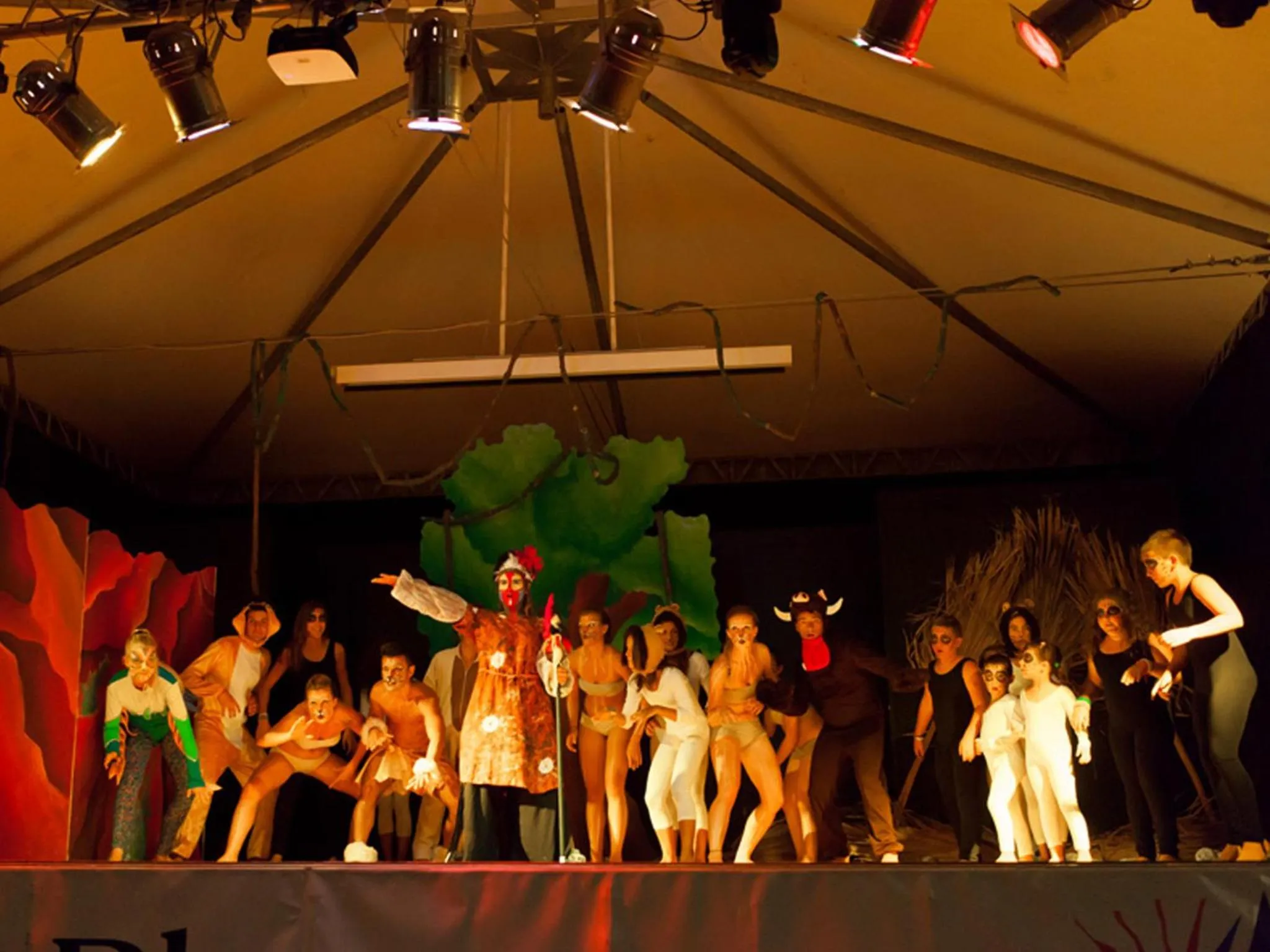 Evening entertainment in Vela Blu Camping Village