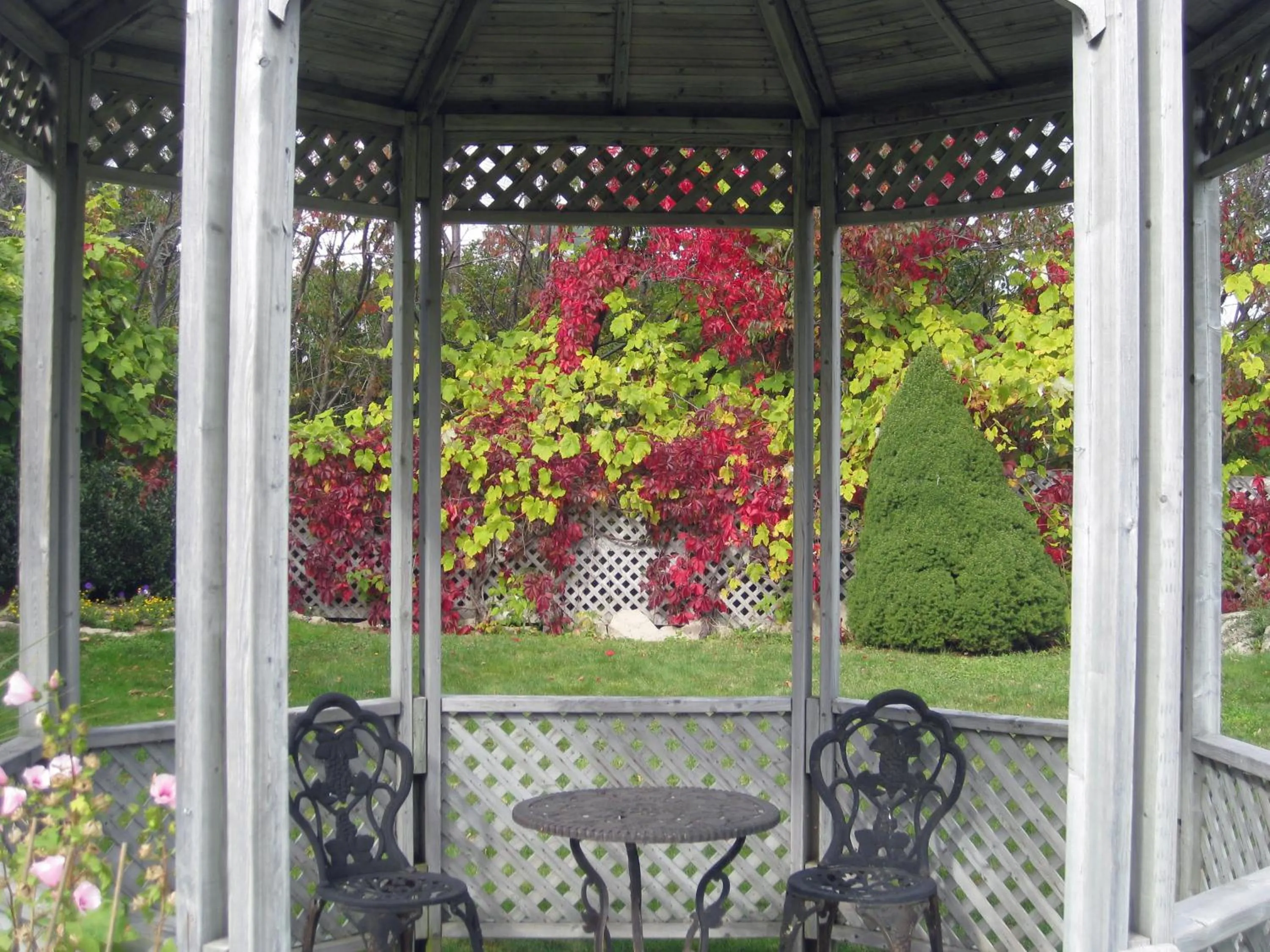 Garden in Seascape Coastal Retreat - 2 ADULTS ONLY - HOT TUB AND WITHOUT HOT TUB OCEANFRONT PROPERTY