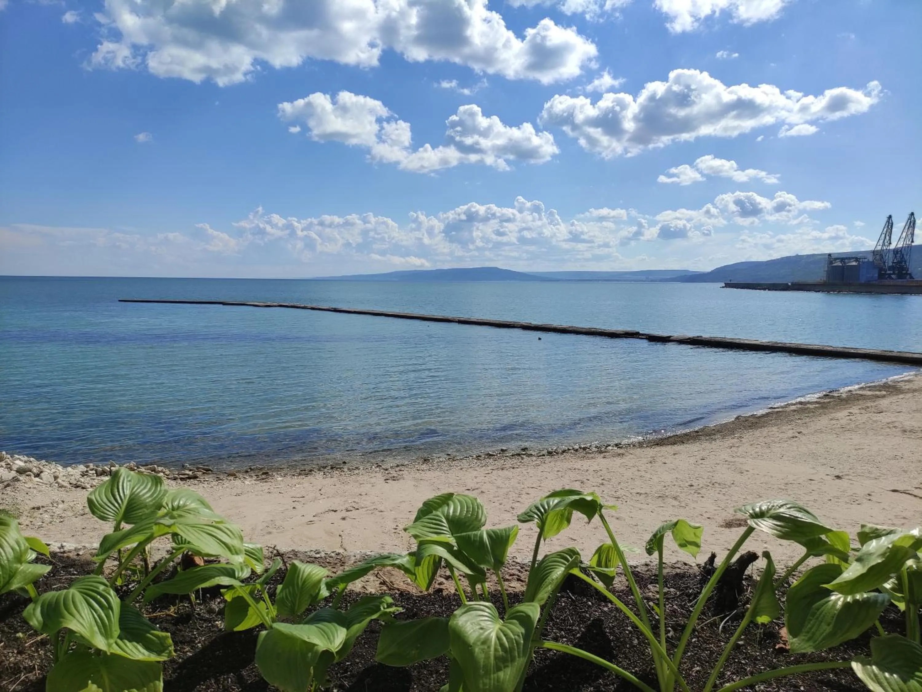 Nearby landmark in Hotel Oasis - Beach Access