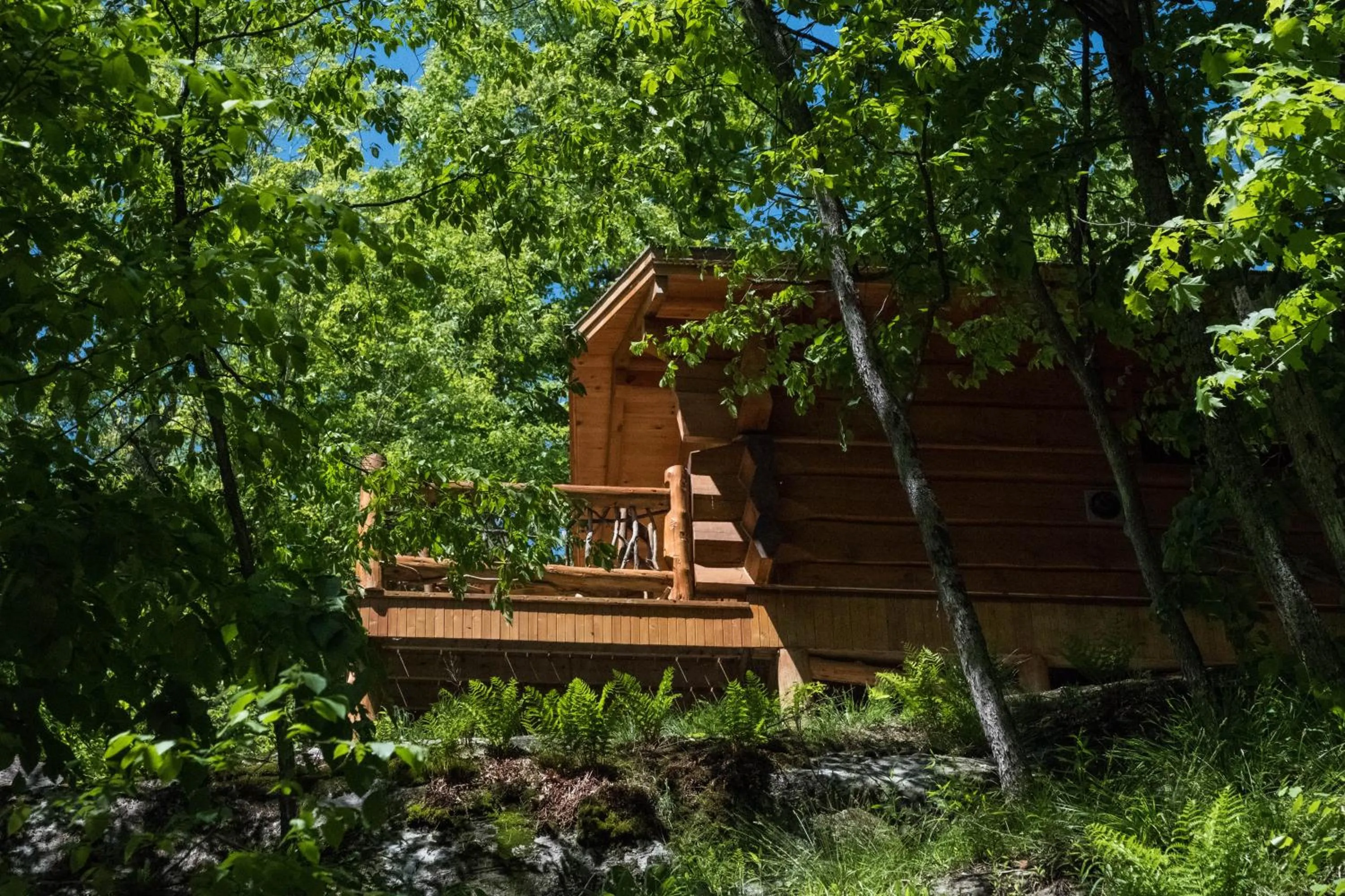 Natural landscape in Parc Omega