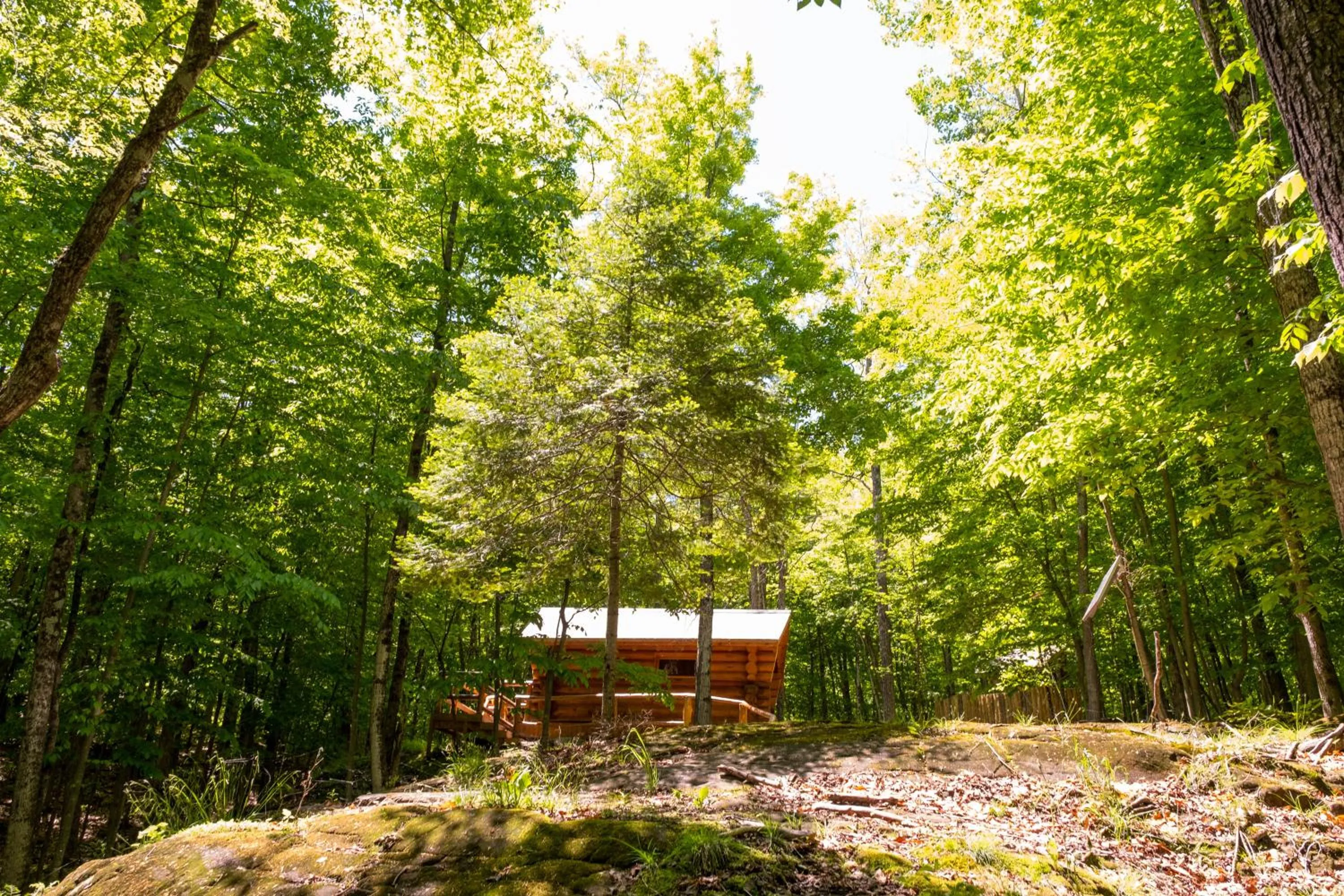 Natural landscape in Parc Omega