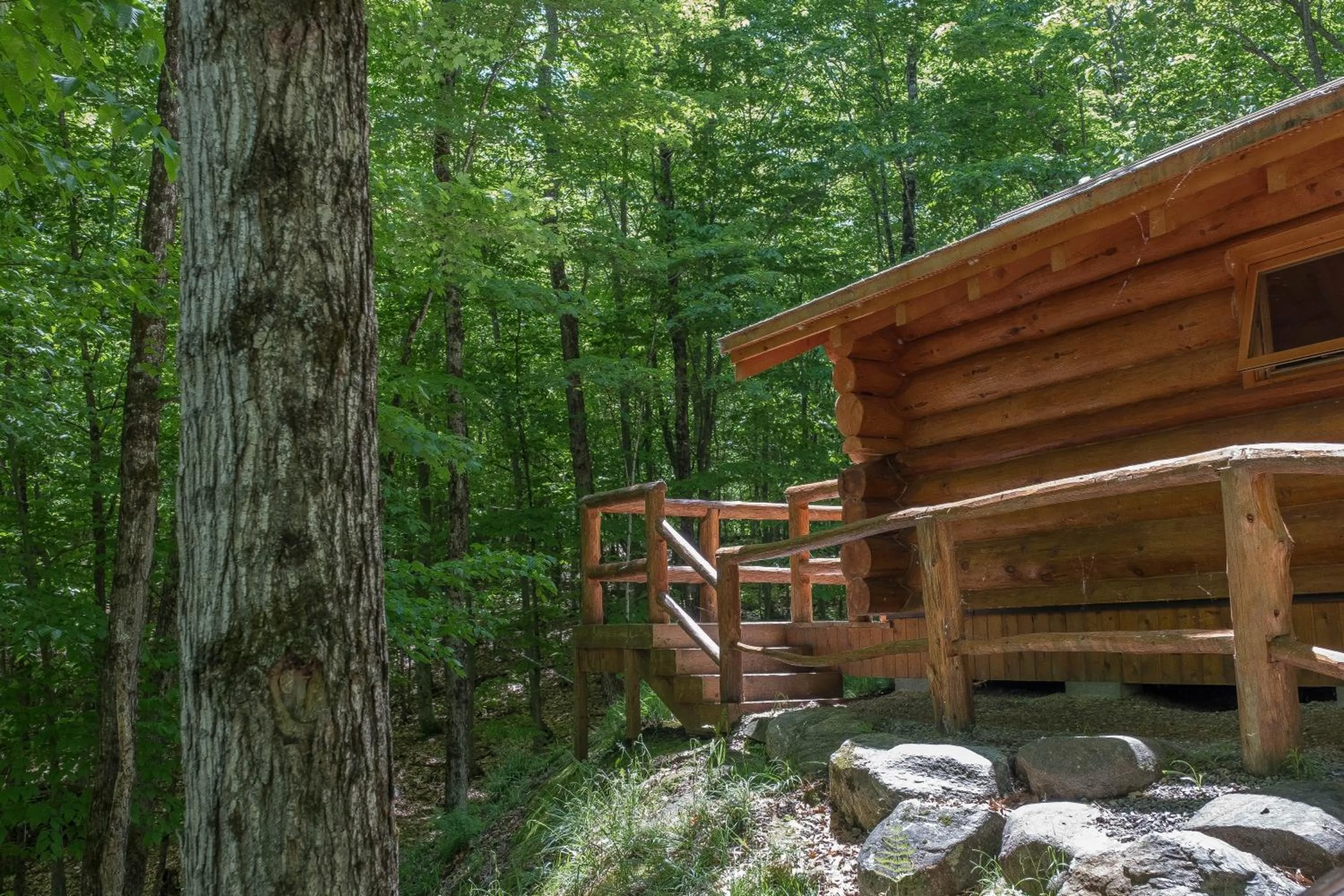 Natural landscape in Parc Omega