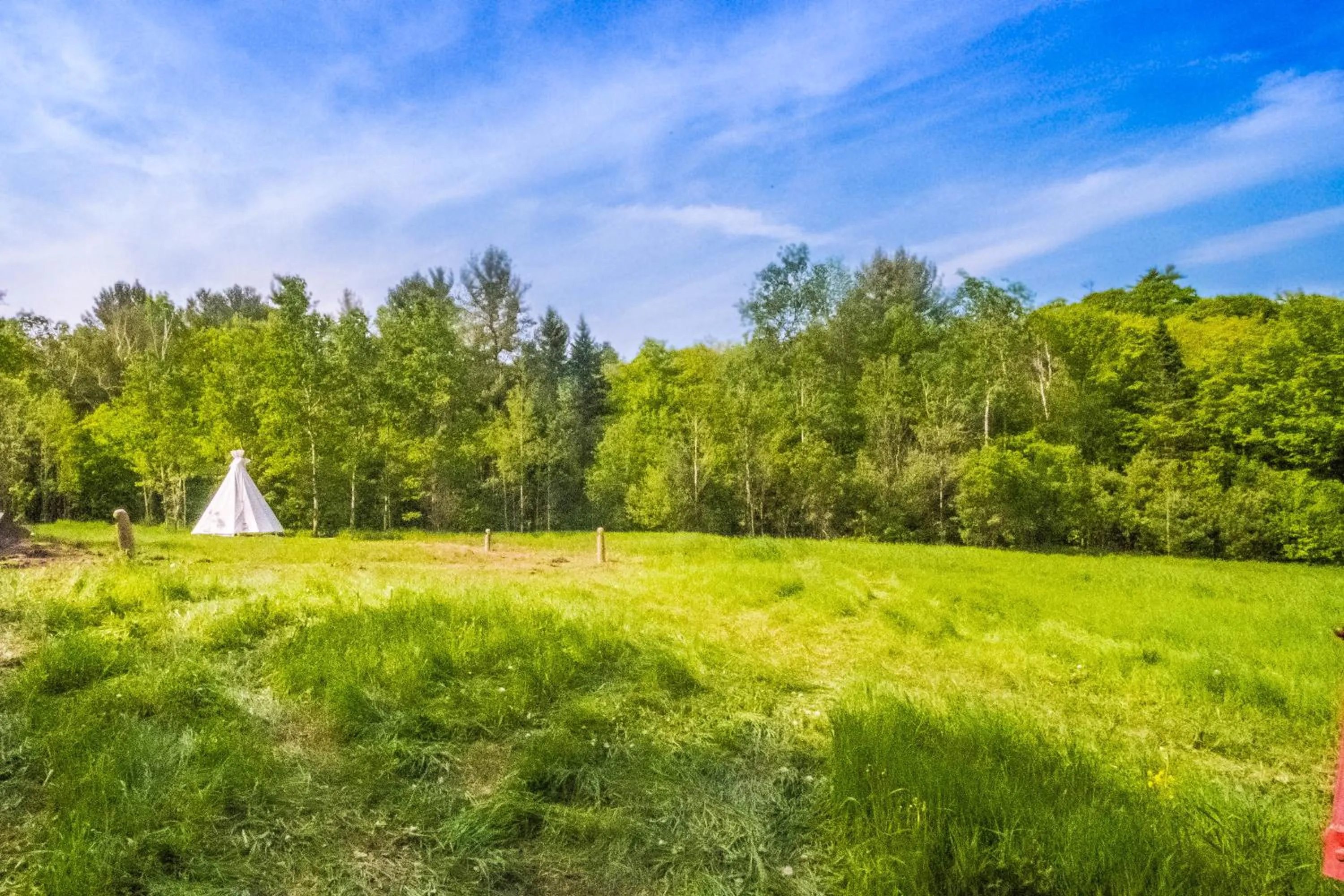 Living room in Parc Omega