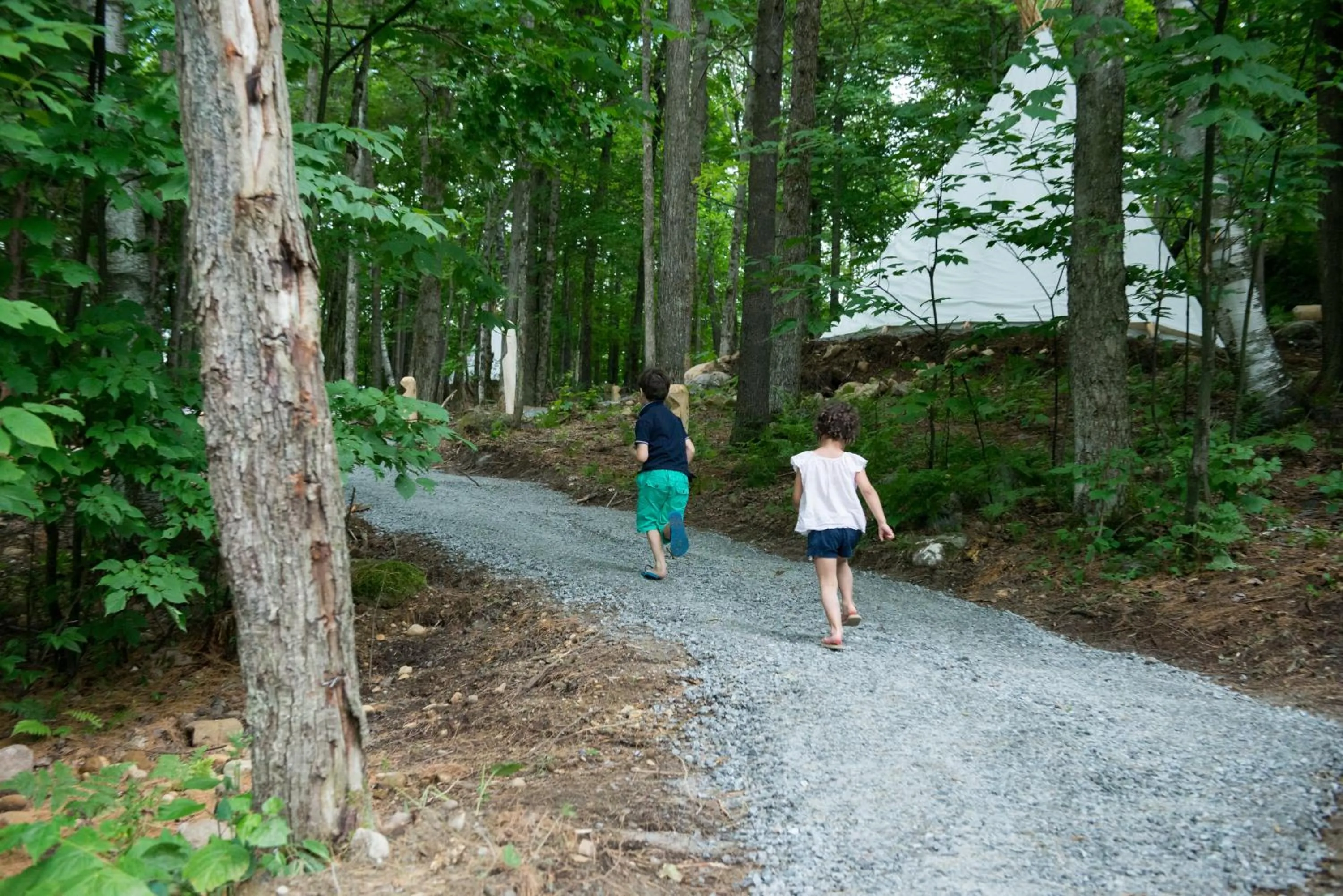 Natural landscape in Parc Omega