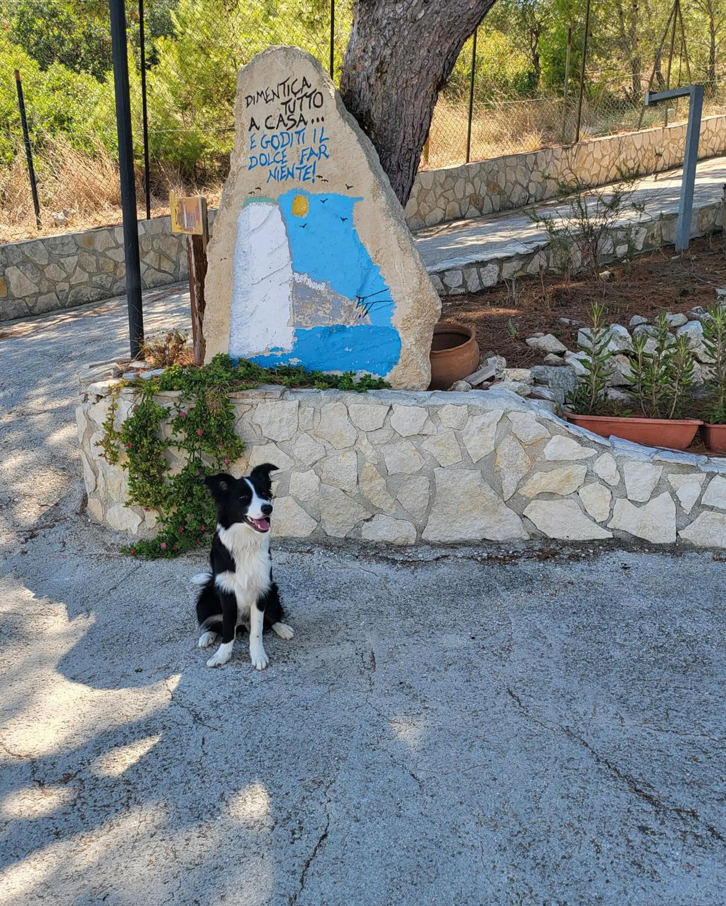 Pets in Residence Dolce Far Niente