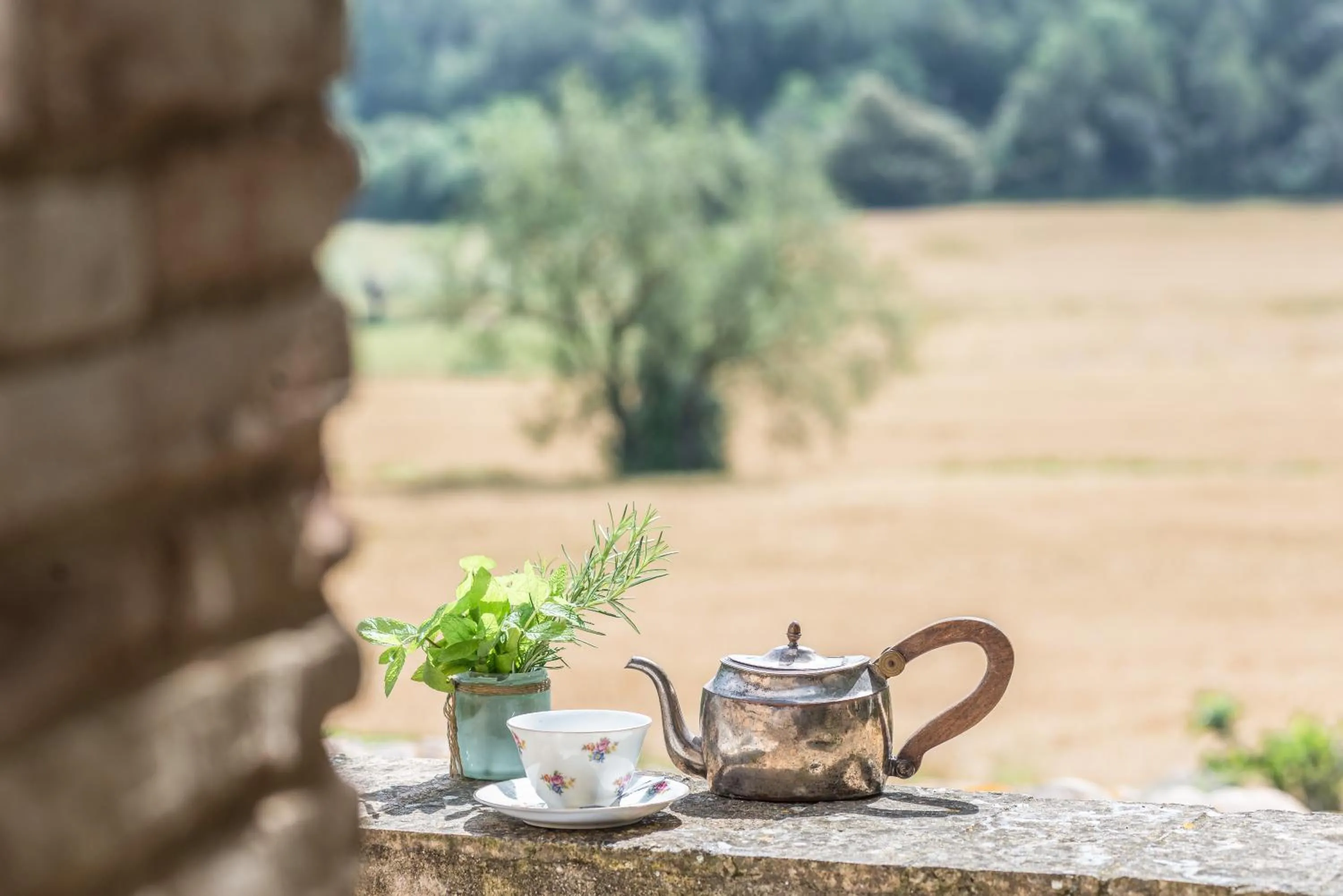 Natural landscape in Can Bassa