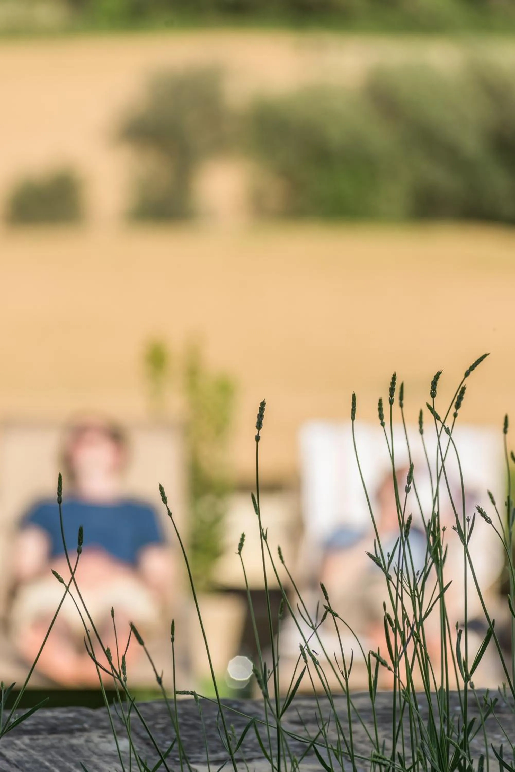 Decorative detail in Can Bassa