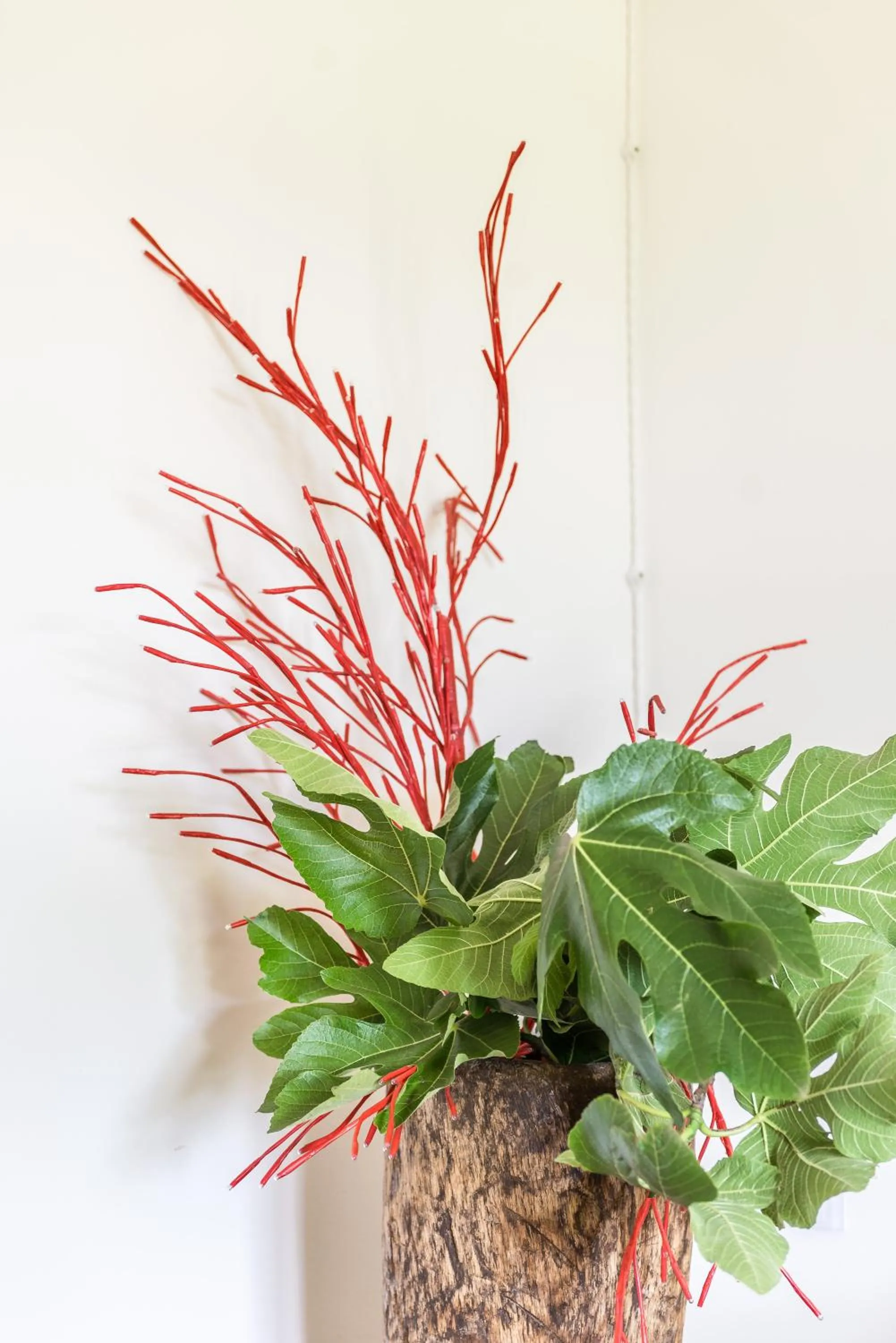 Decorative detail in Can Bassa