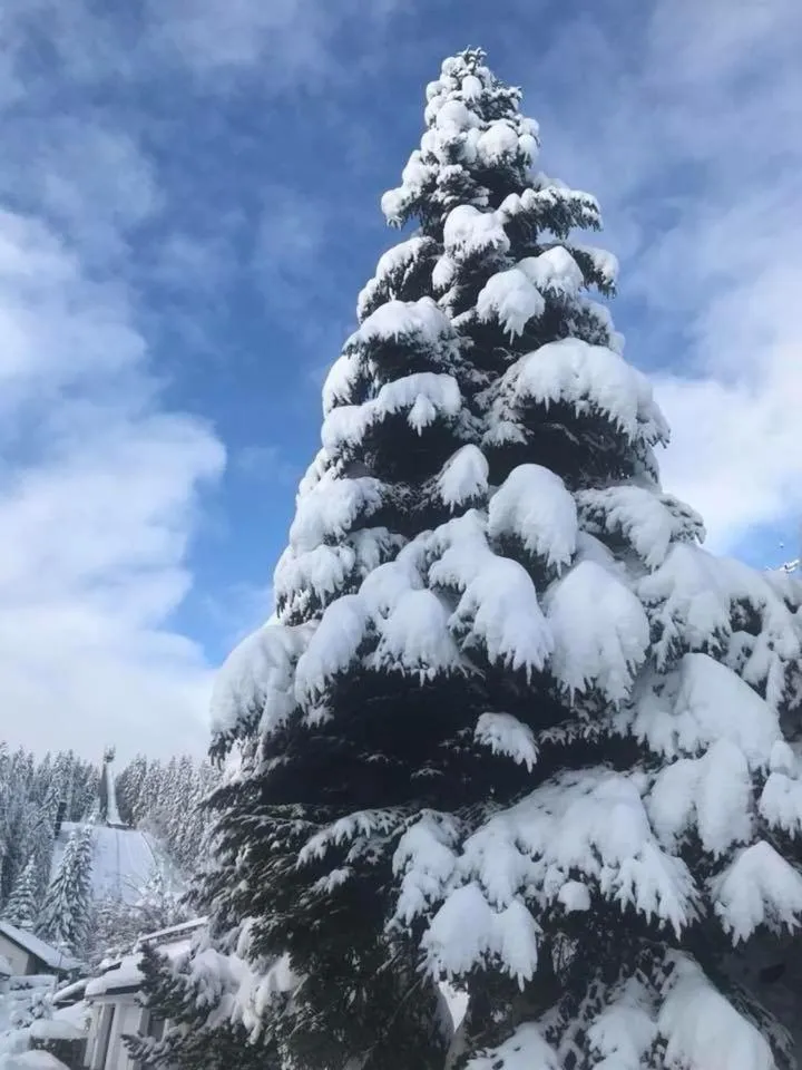 Neighbourhood in Hotel Adlerschanze
