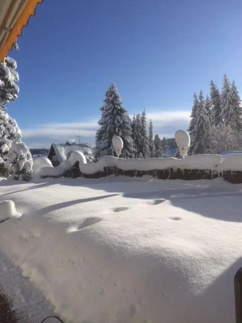 Winter in Hotel Adlerschanze