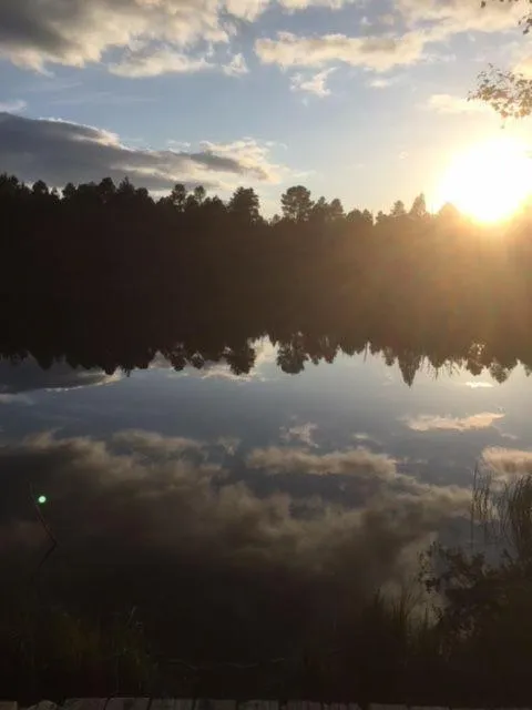 Nearby landmark in Hotel Adlerschanze