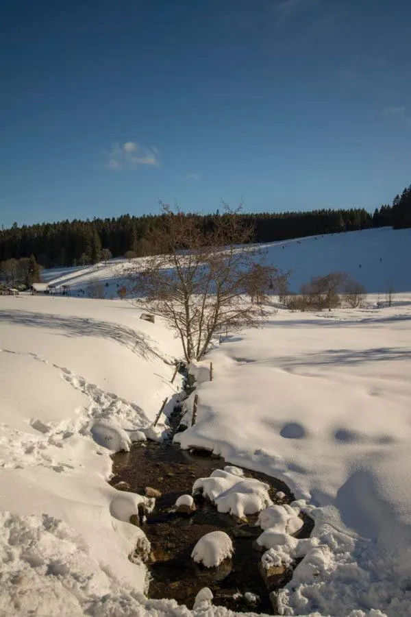 Natural landscape in Hotel Adlerschanze