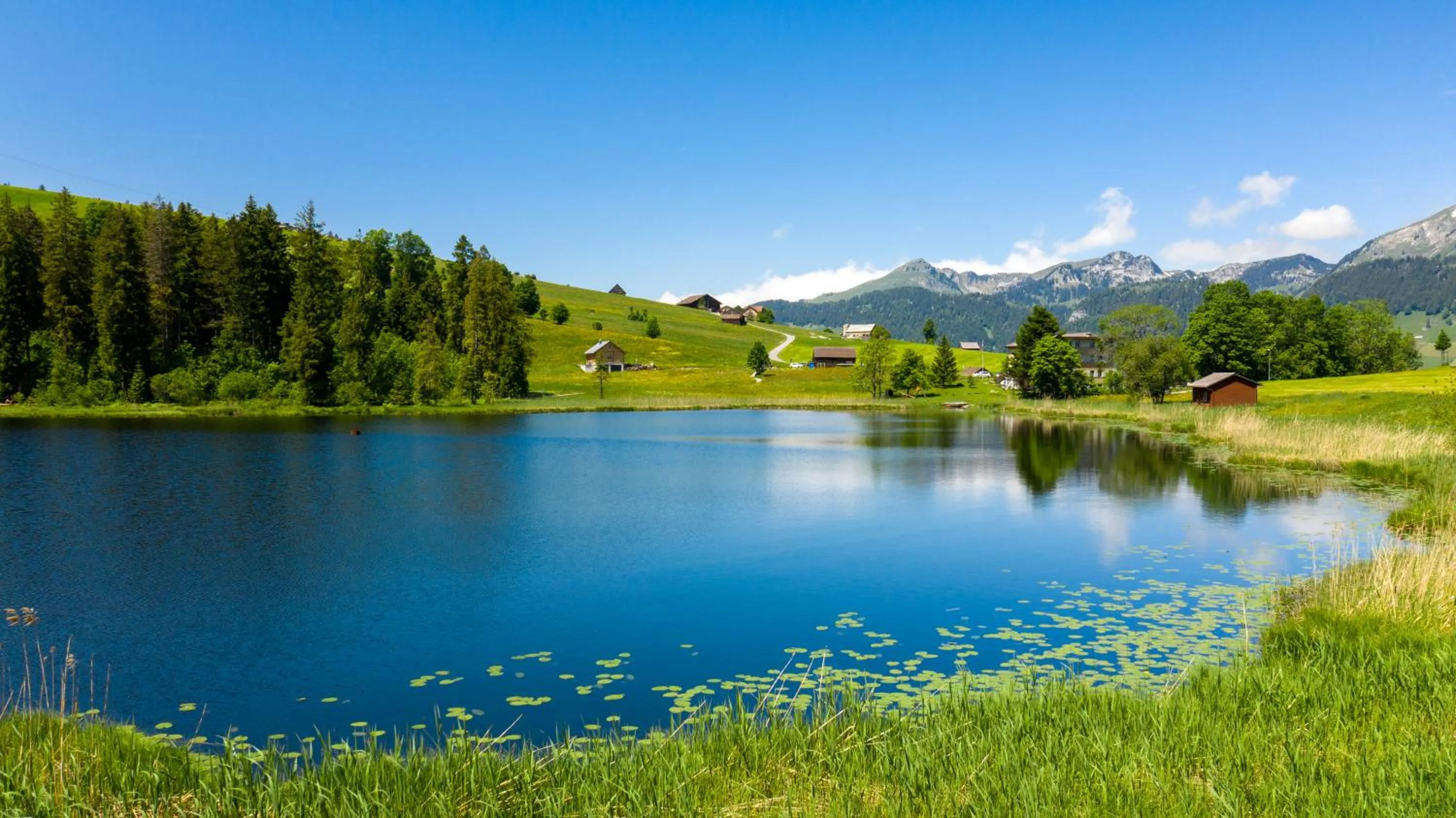 Neighbourhood in Hotel Stump's Alpenrose