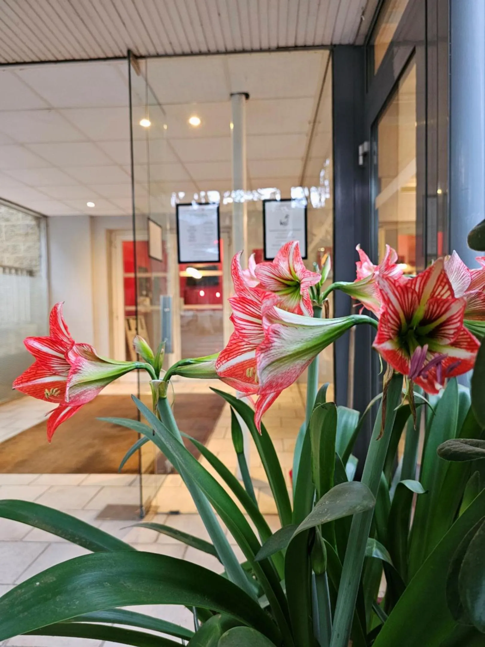 Lobby or reception in Le Cheval Blanc