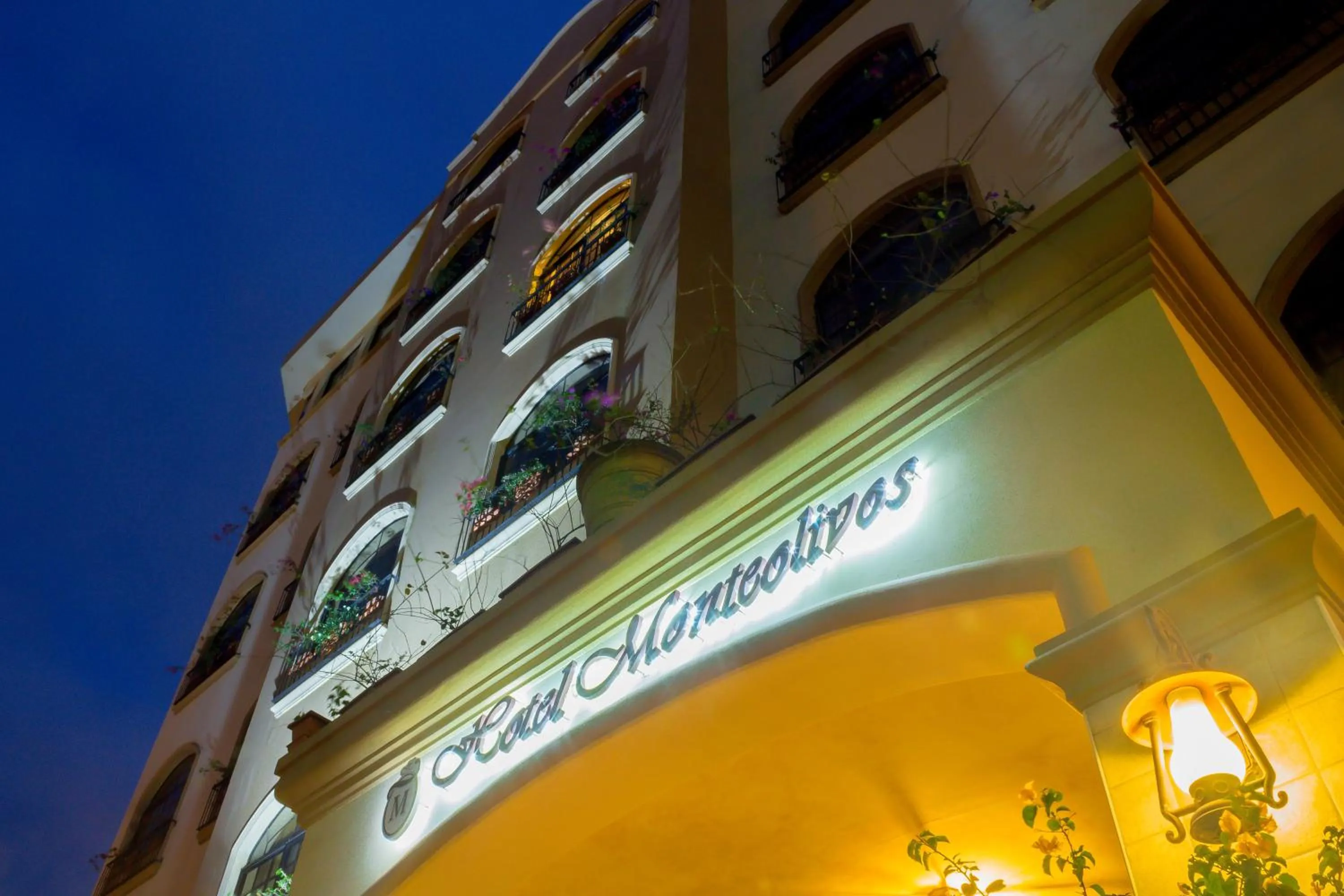 Facade/entrance in Hotel Monteolivos