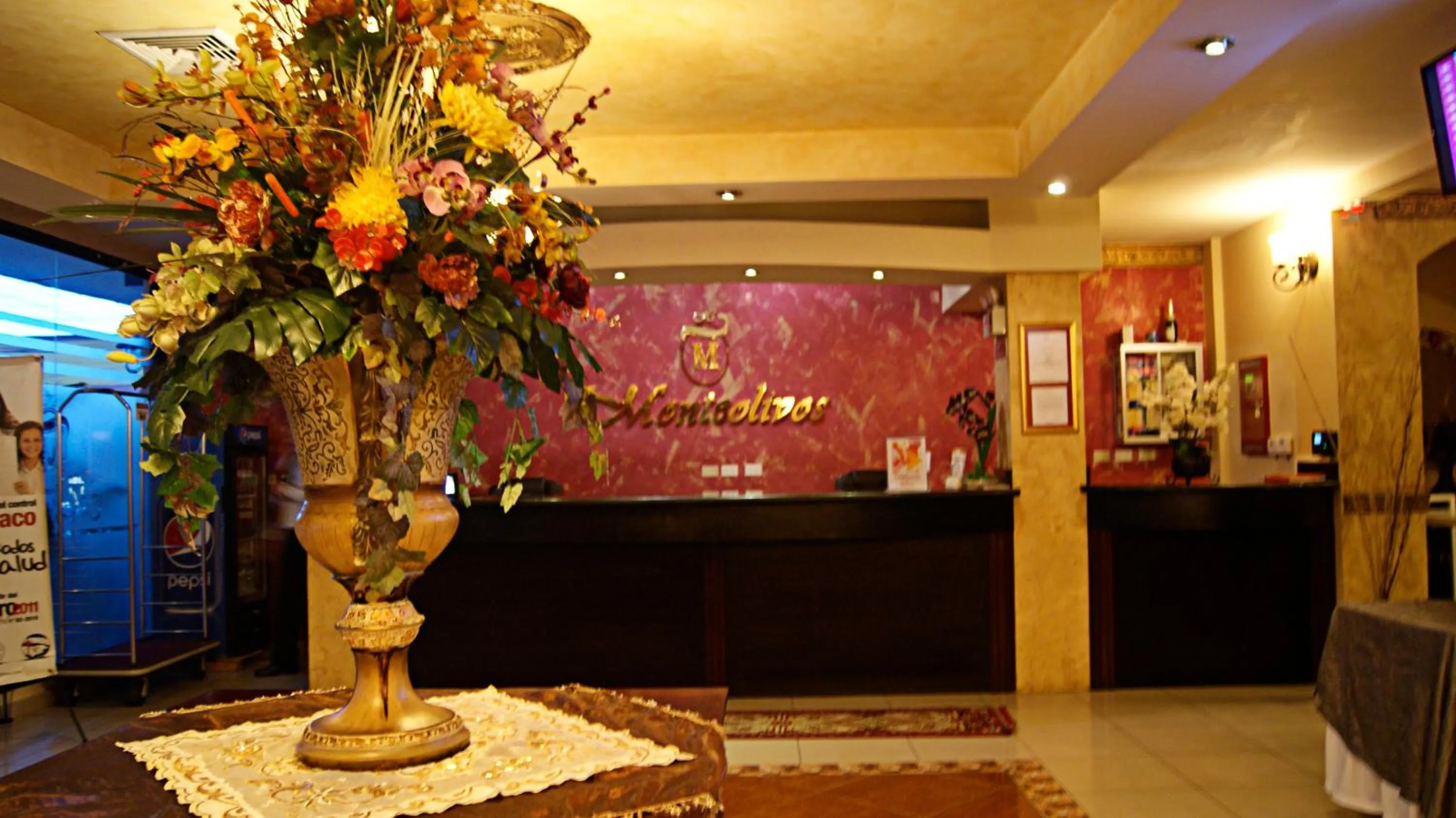 Lobby or reception in Hotel Monteolivos