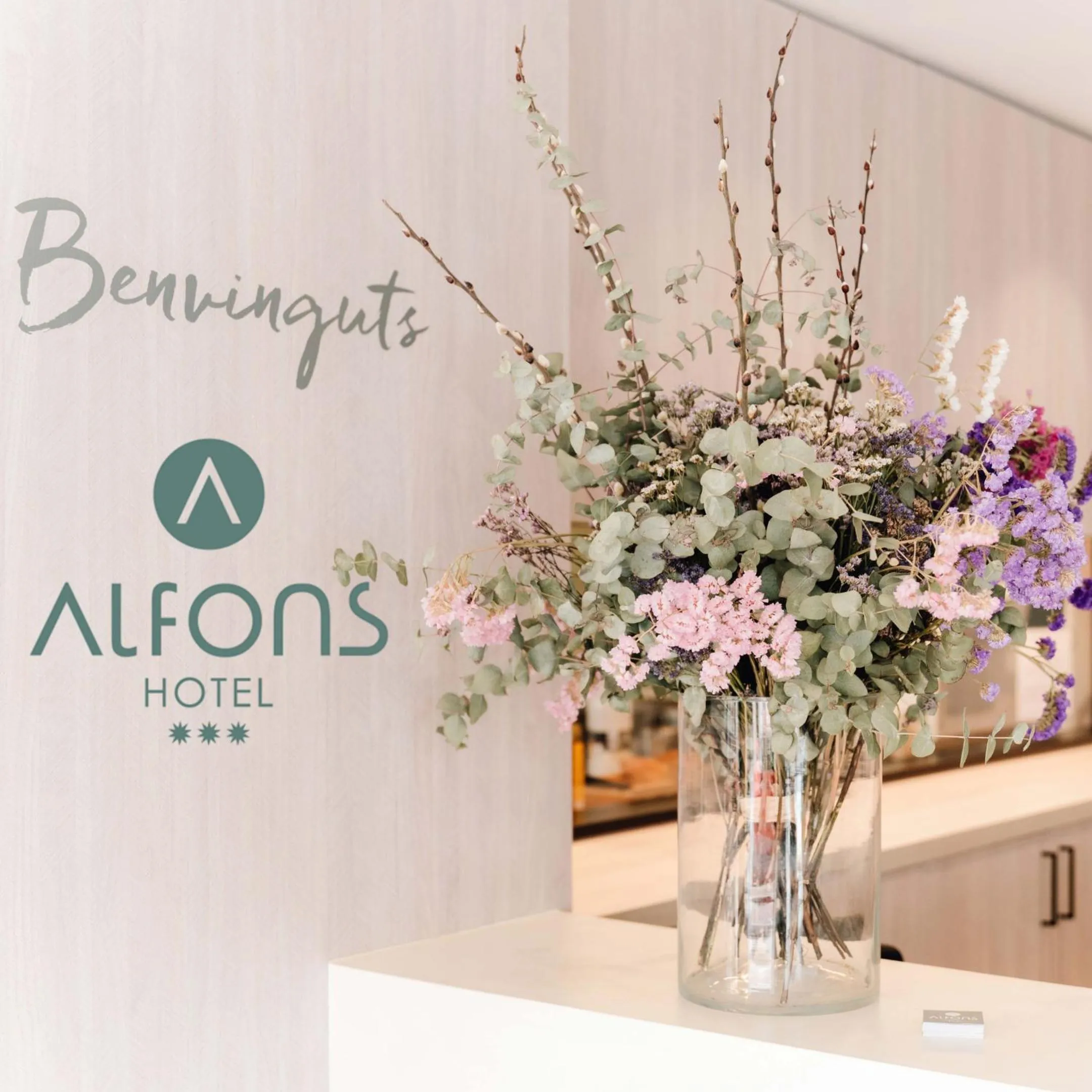 Lobby or reception in Alfons Hotel