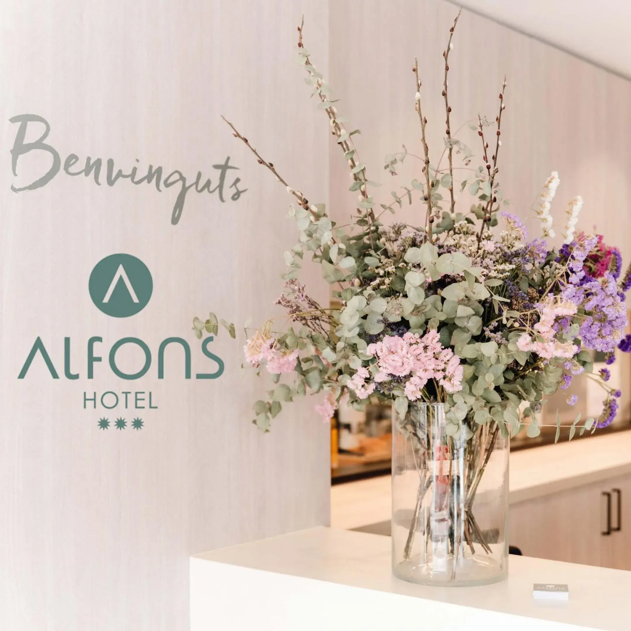 Lobby or reception in Alfons Hotel Lobby or reception in Alfons Hotel