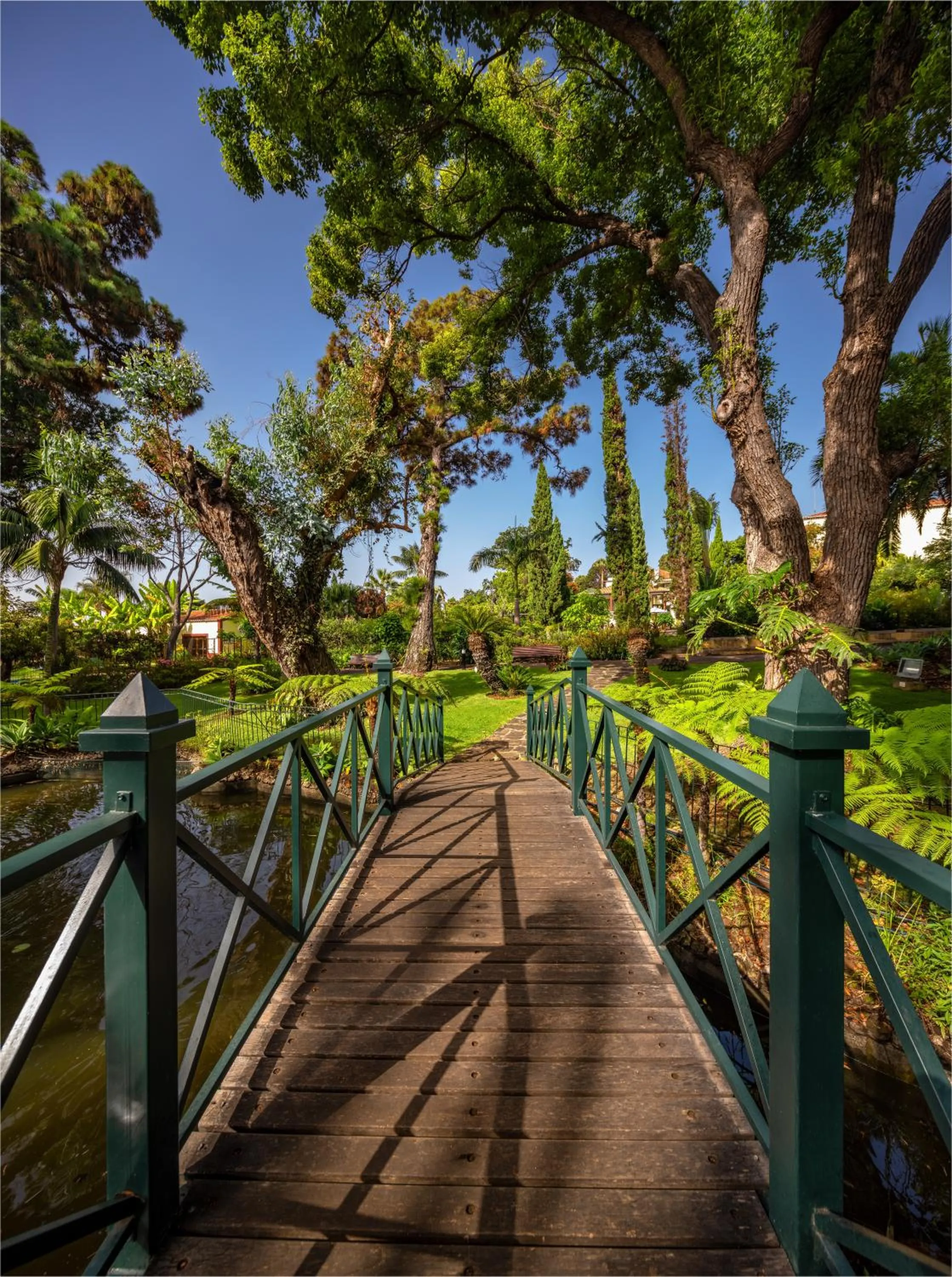 Garden view in Quinta Jardins do Lago