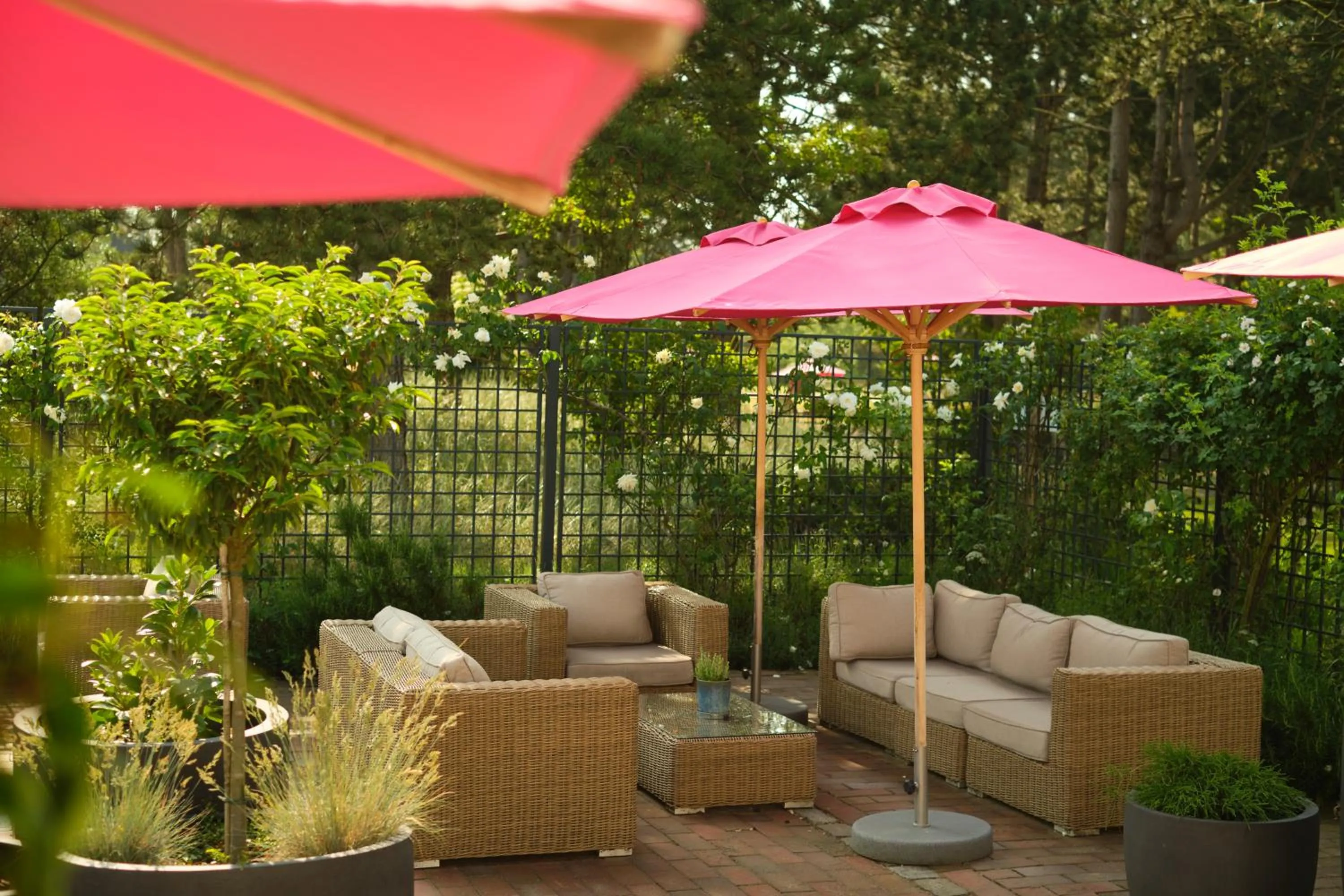 Garden in Aalernhüs hotel & spa