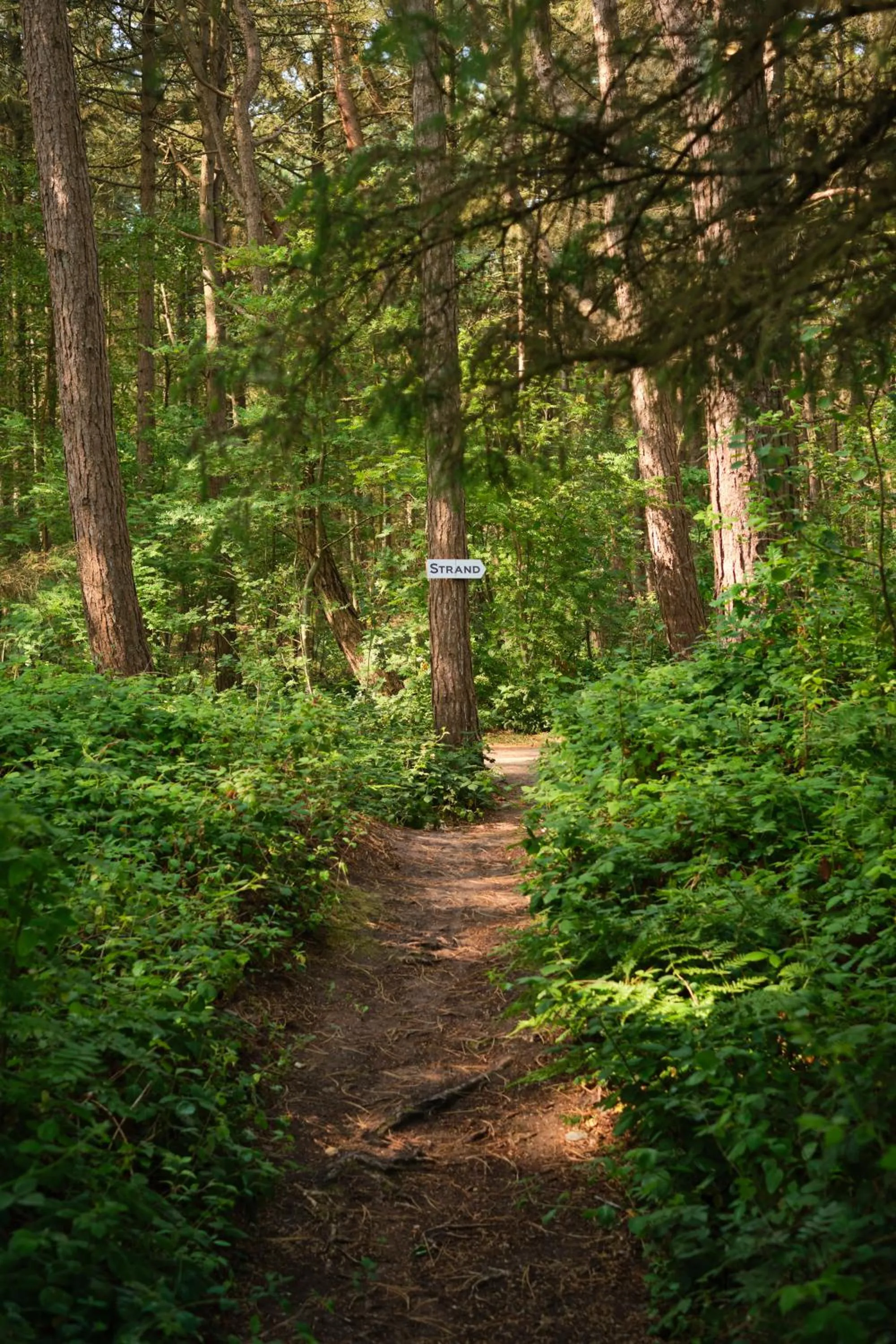 Beach in Aalernhüs hotel & spa