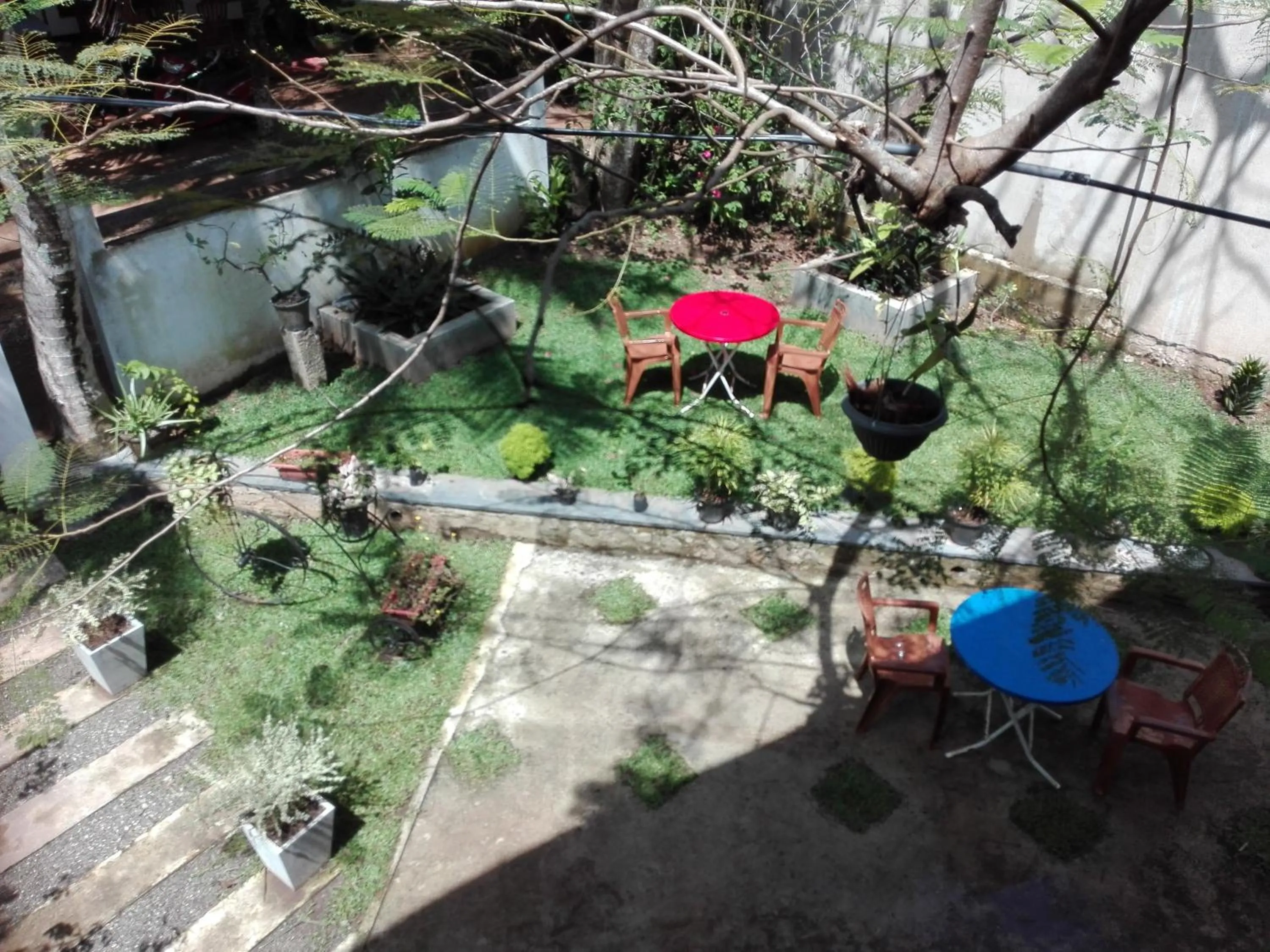 Garden in Neo Grand Villa