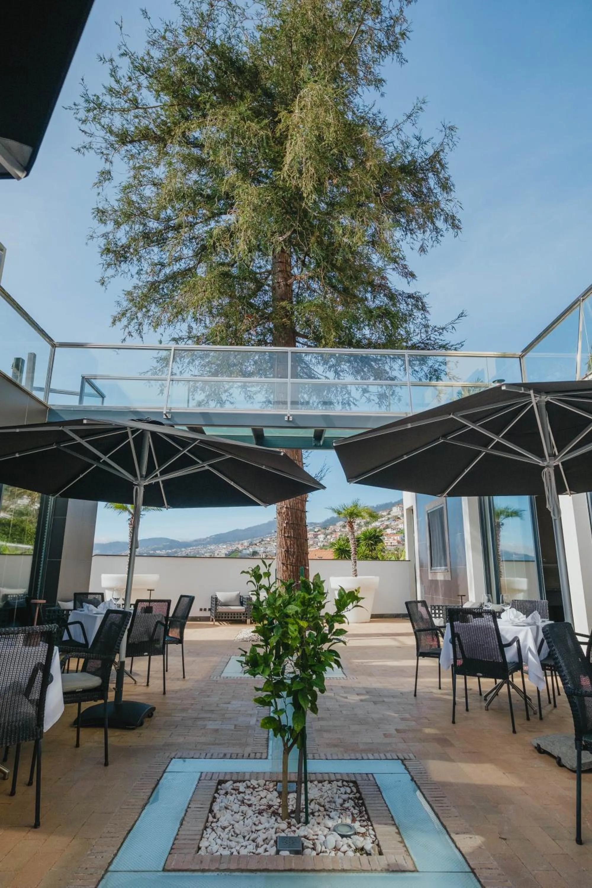 Restaurant/places to eat in Quinta Mirabela - Design Hotel